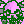 BidouPunks: Battle Against the Crystal Skull