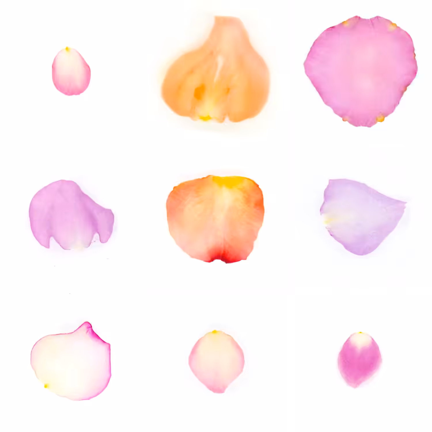 Infinite Petals 3x3#3343