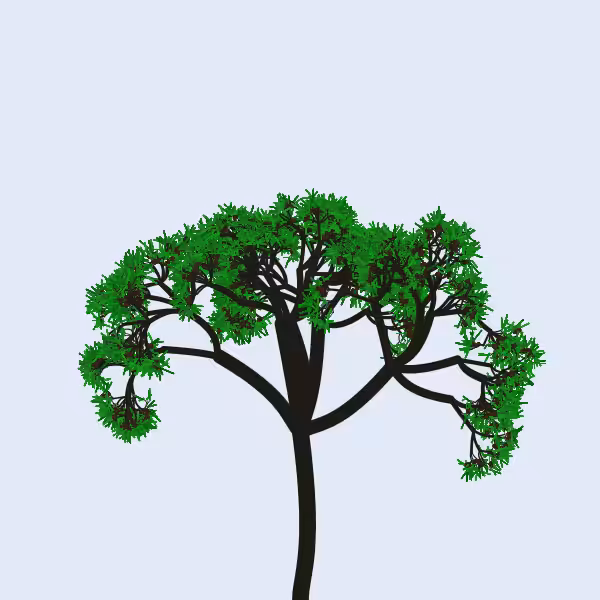 Procedural Maritime Pine 346386