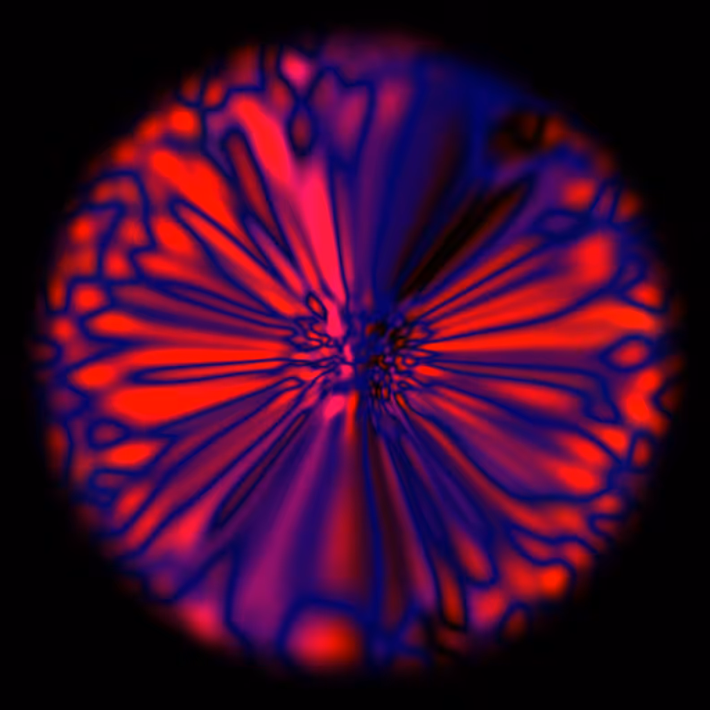 ORBITAL #1