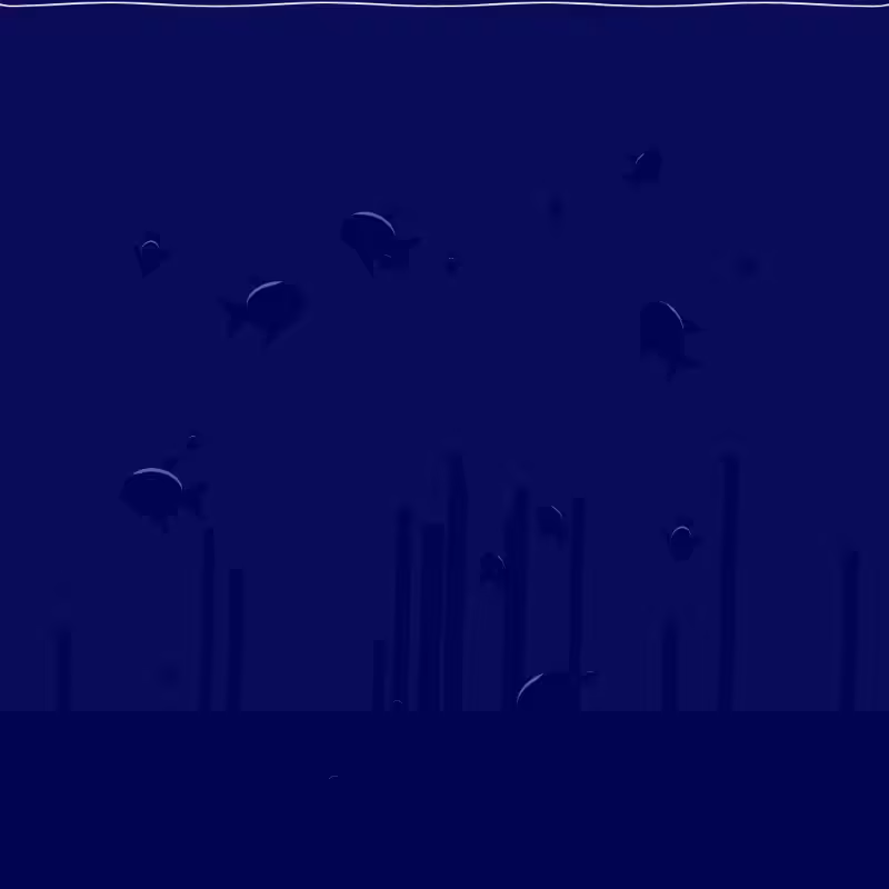 Underwater Schooling #29