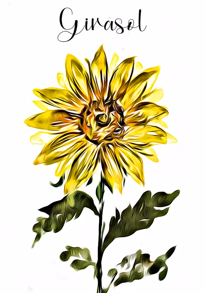 Girasol