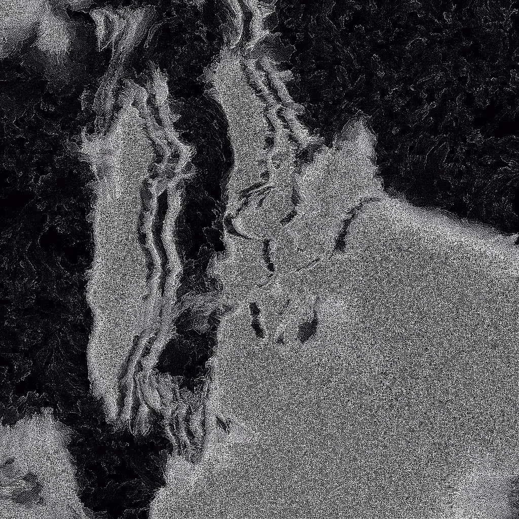 Noise #315 