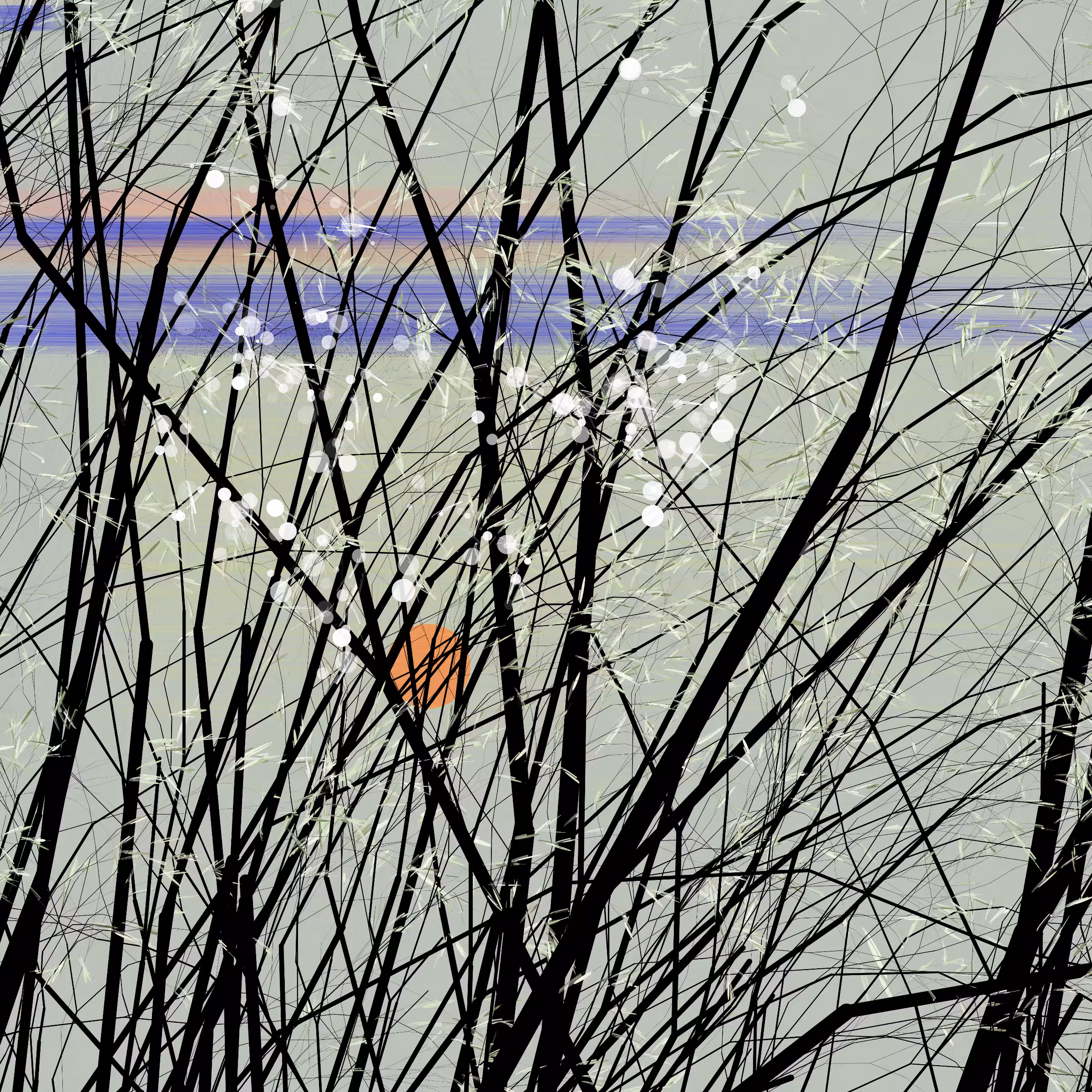 conversation with the wind #388