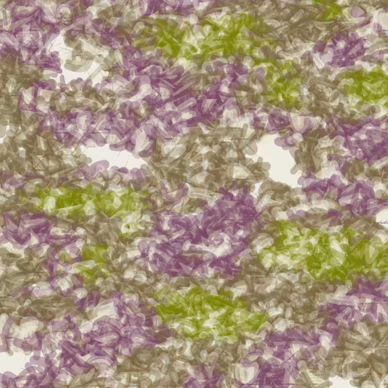 Petri 1500 #1468