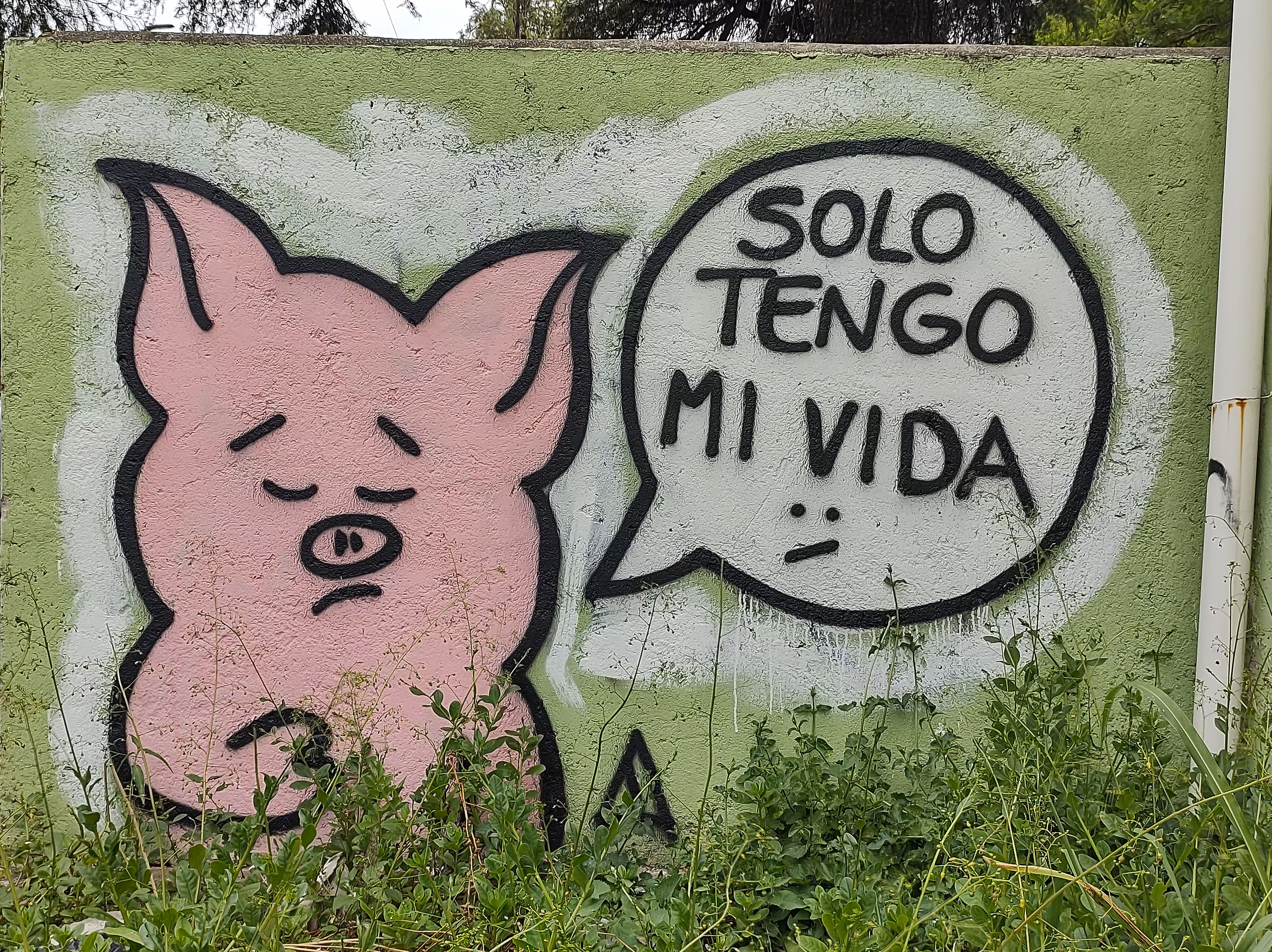 Chanchitxs: Solo tengo mi vida