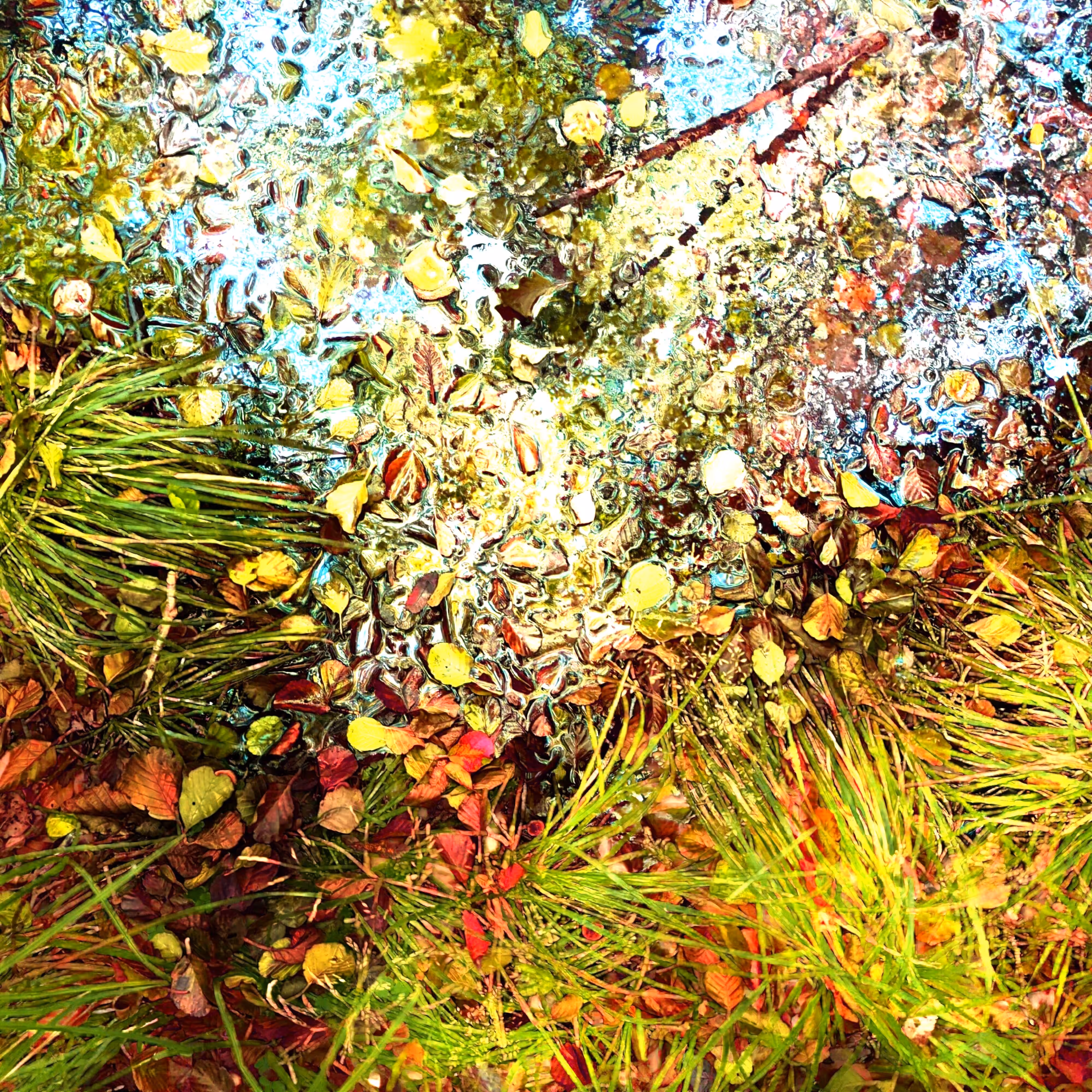 Autonomous Forest Plots: Plot u329hvhgm