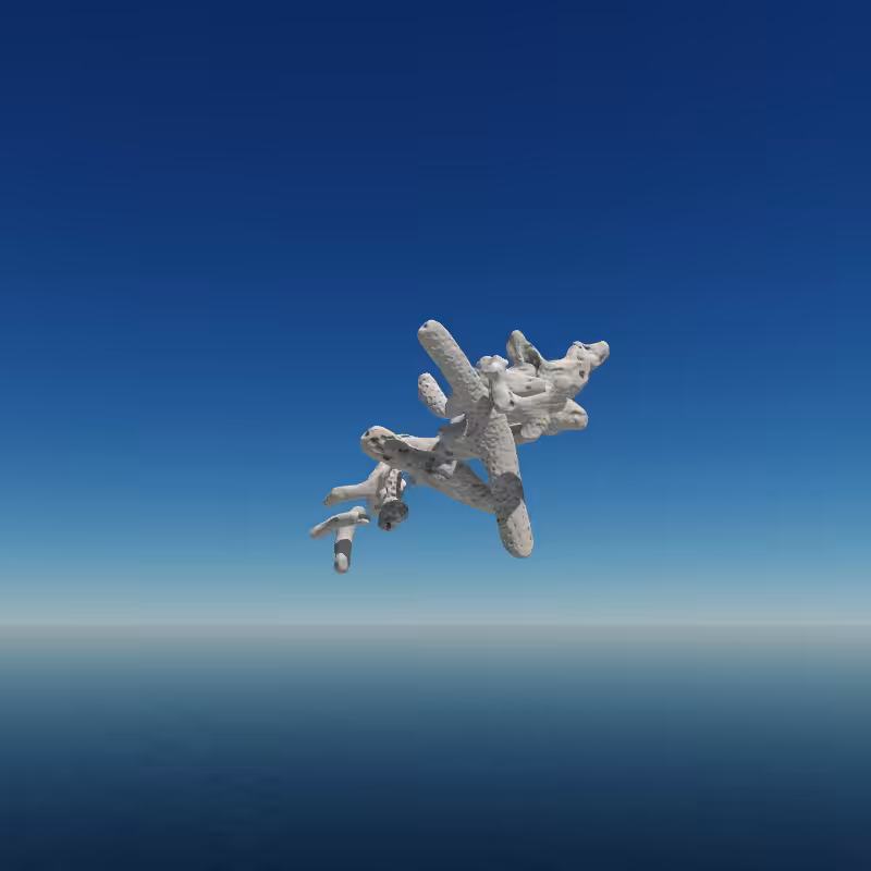 Bone Work (Gulf of Mexico) 2022 #15
