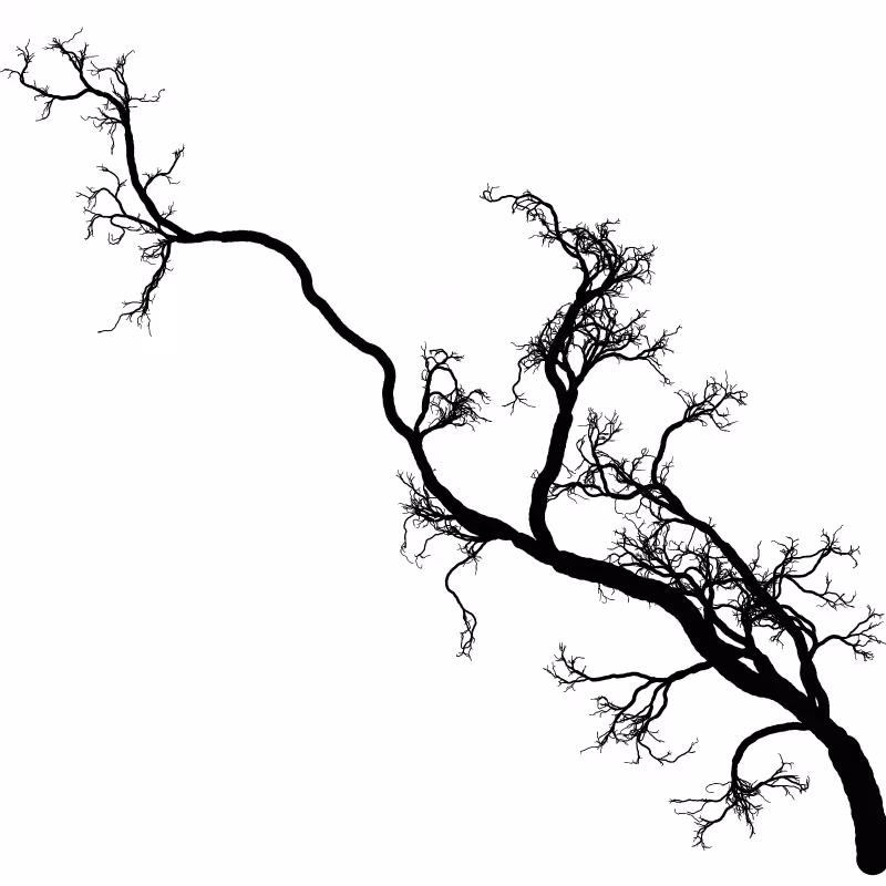 Tree 01 #108