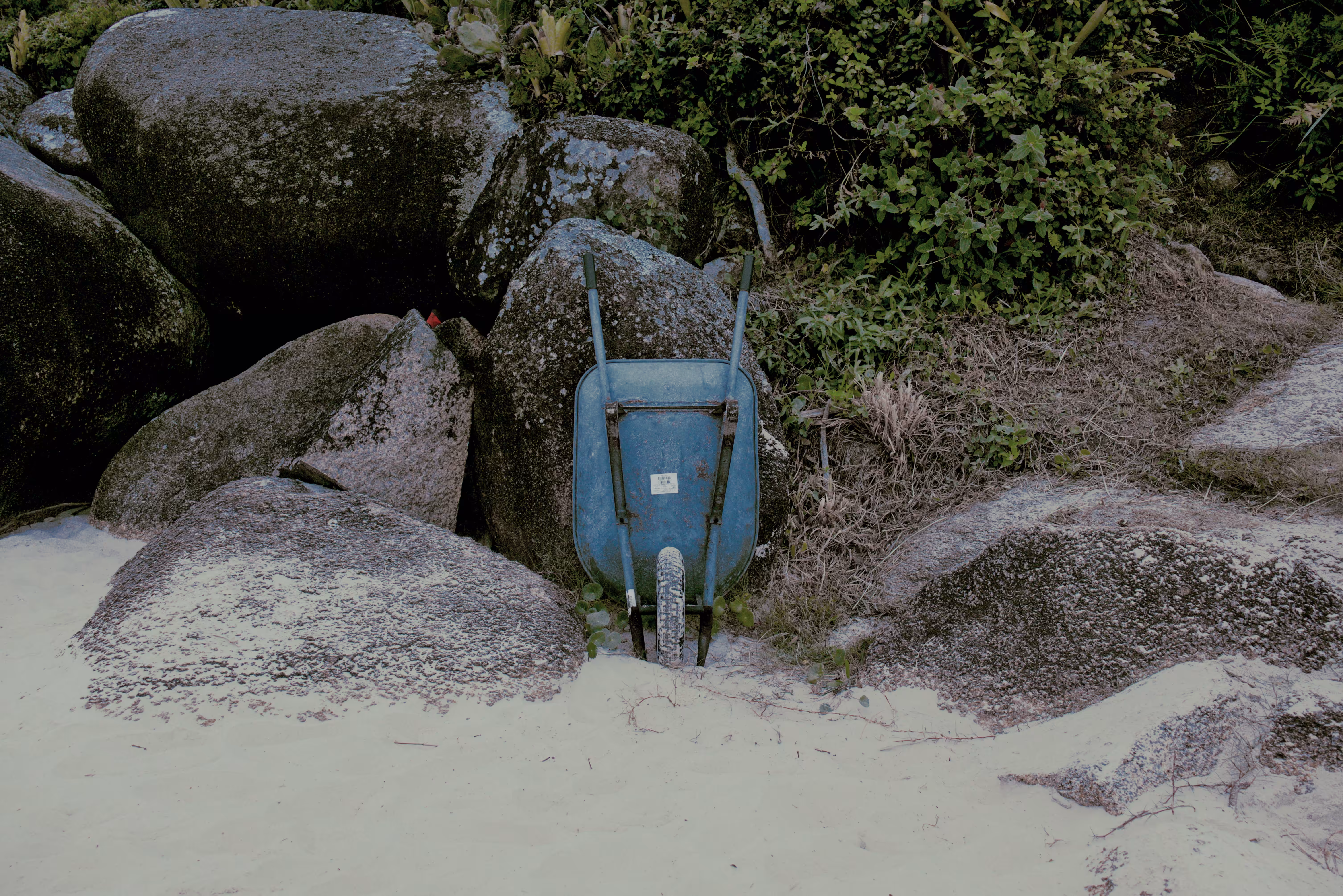 Serenity in Photos: The Resting Wheelbarrow