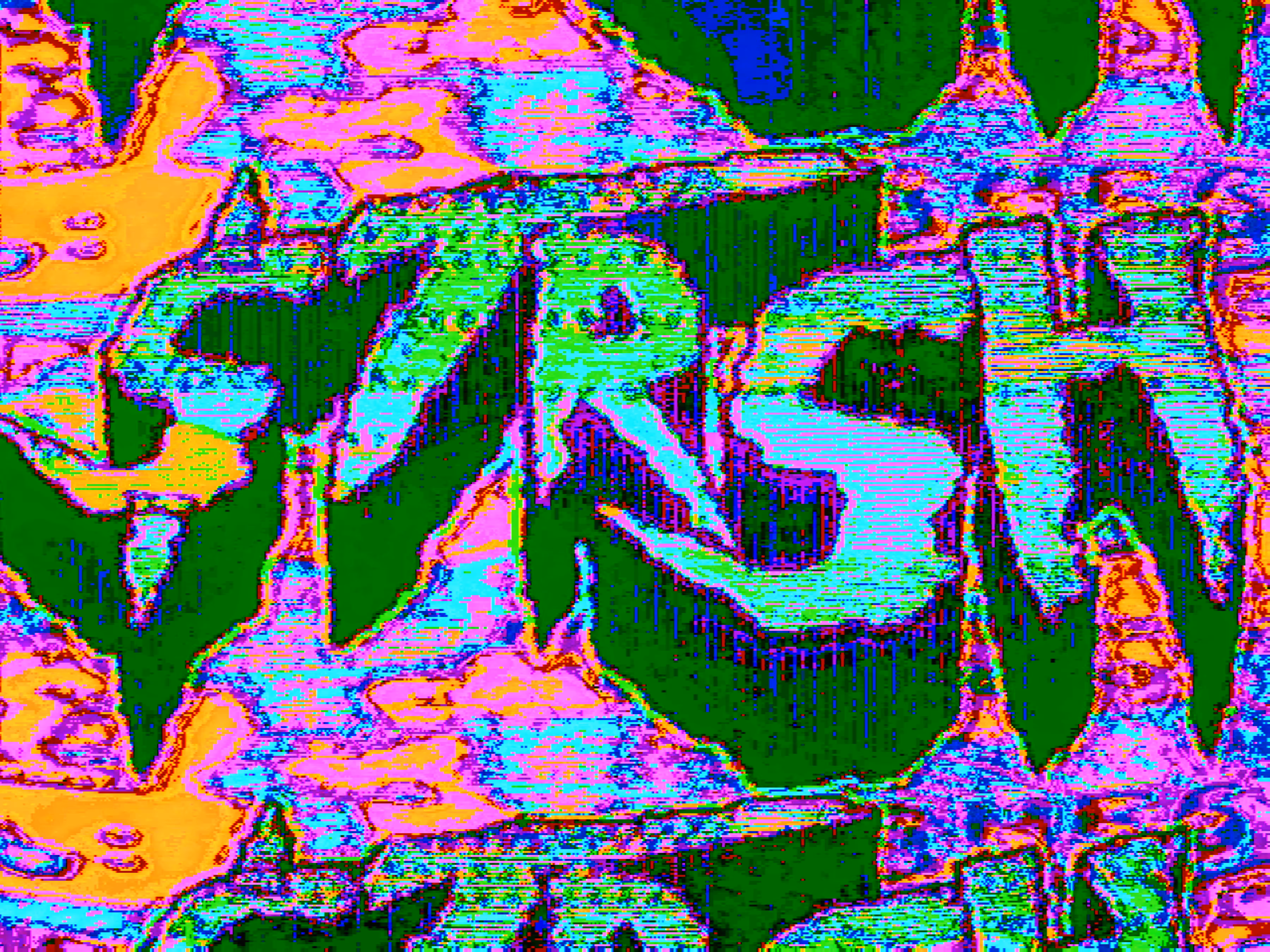$TRSH Glitch Cam