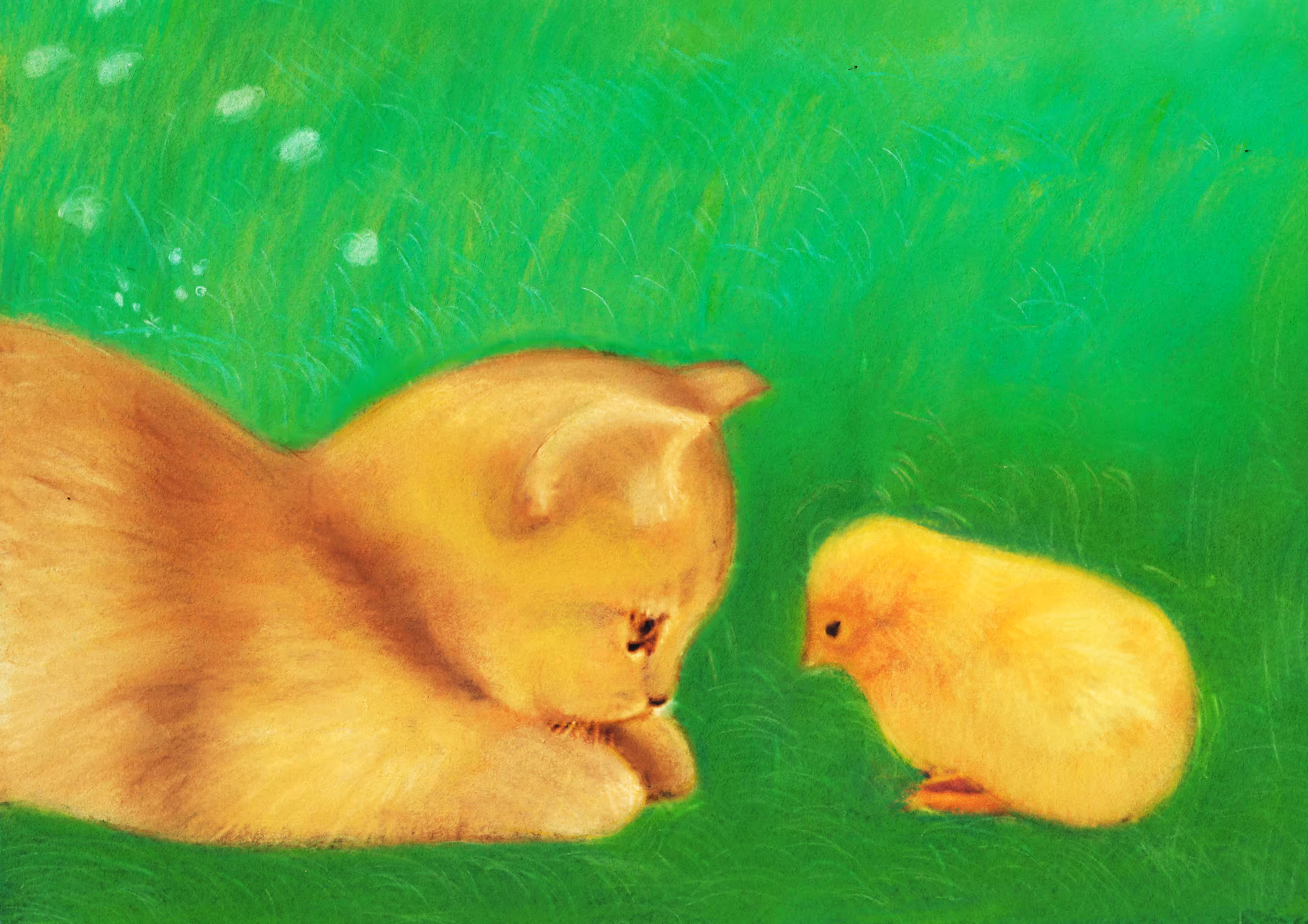 Don’t be afraid, I am with you 