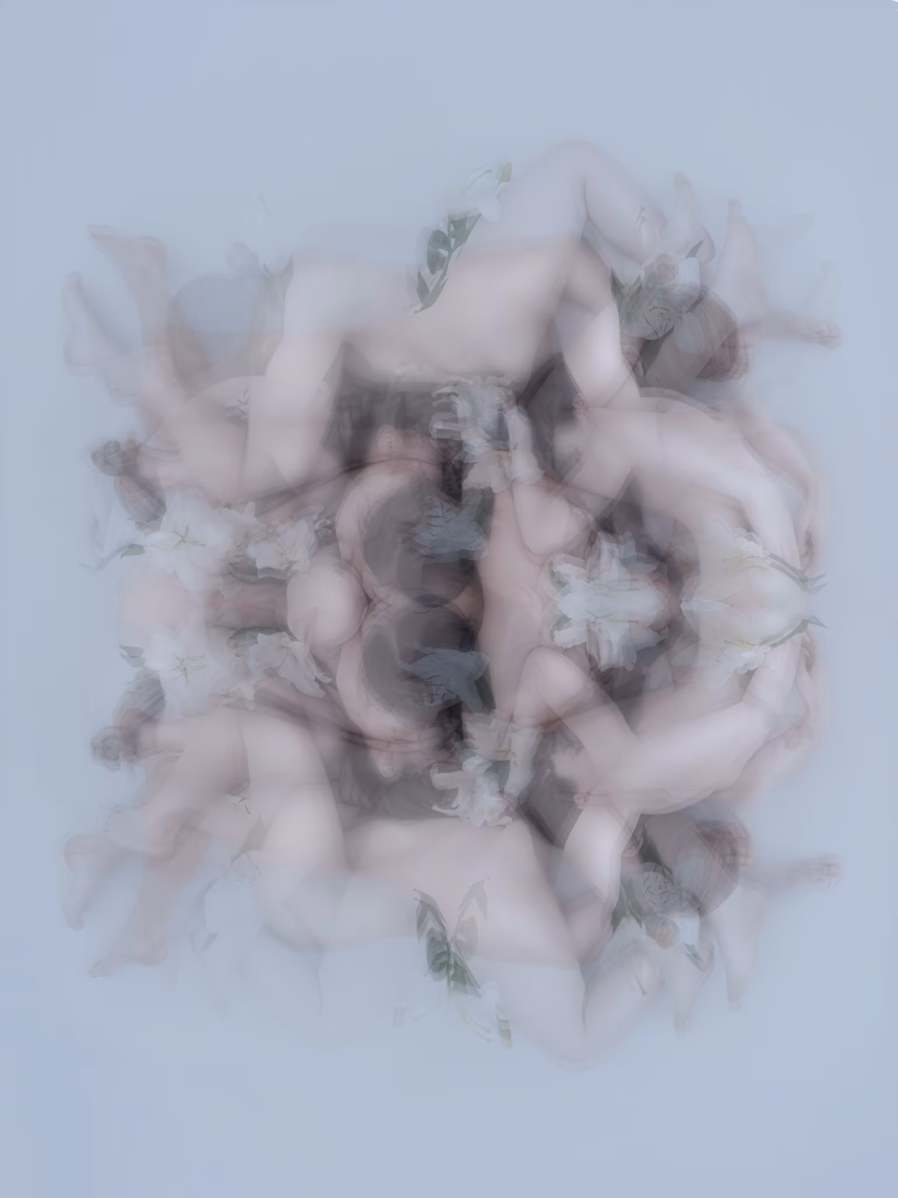 Echo #26