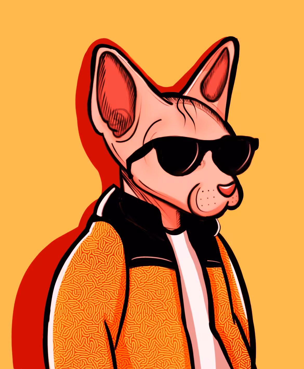 Gangster Sphynx cat #1