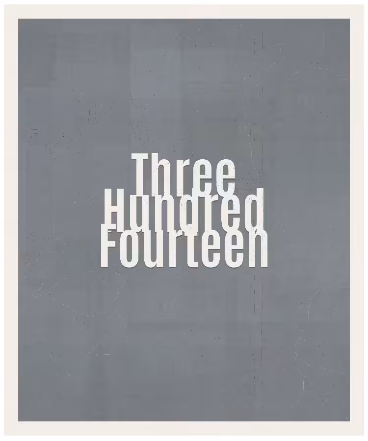 Count #314