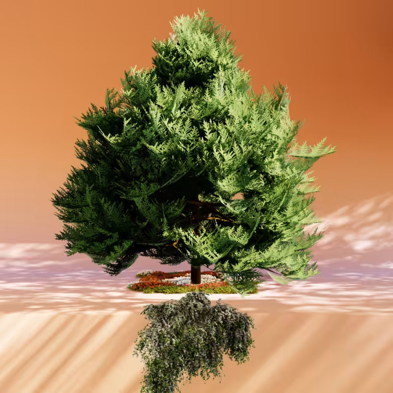 Nature rooms #19