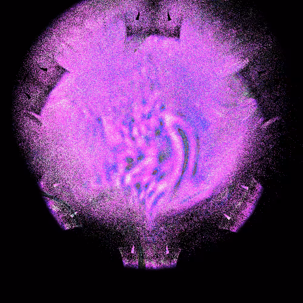 Leaky Planetary #1