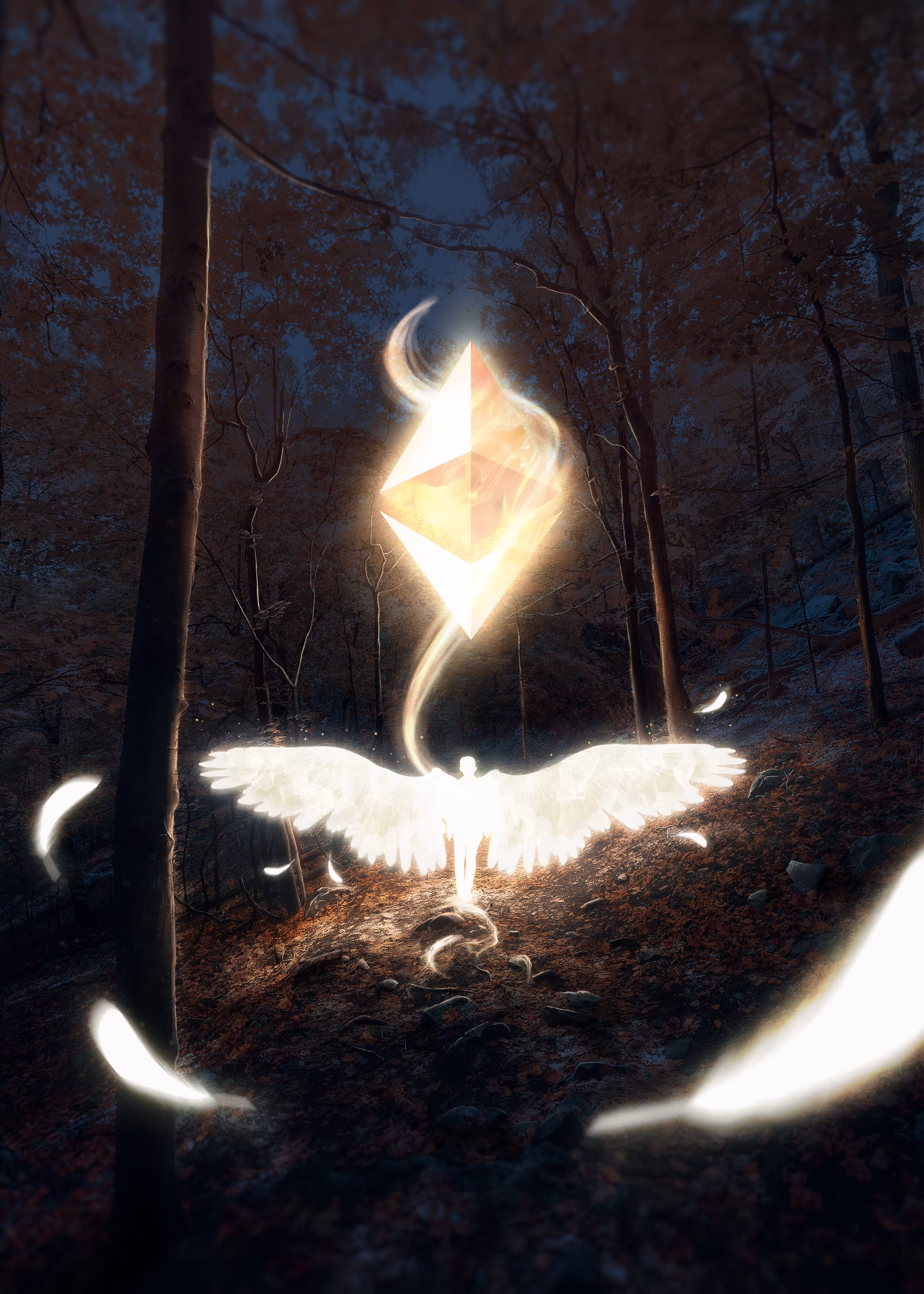 Light in the Woods