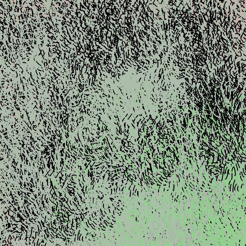 a bird worked on my painting #35