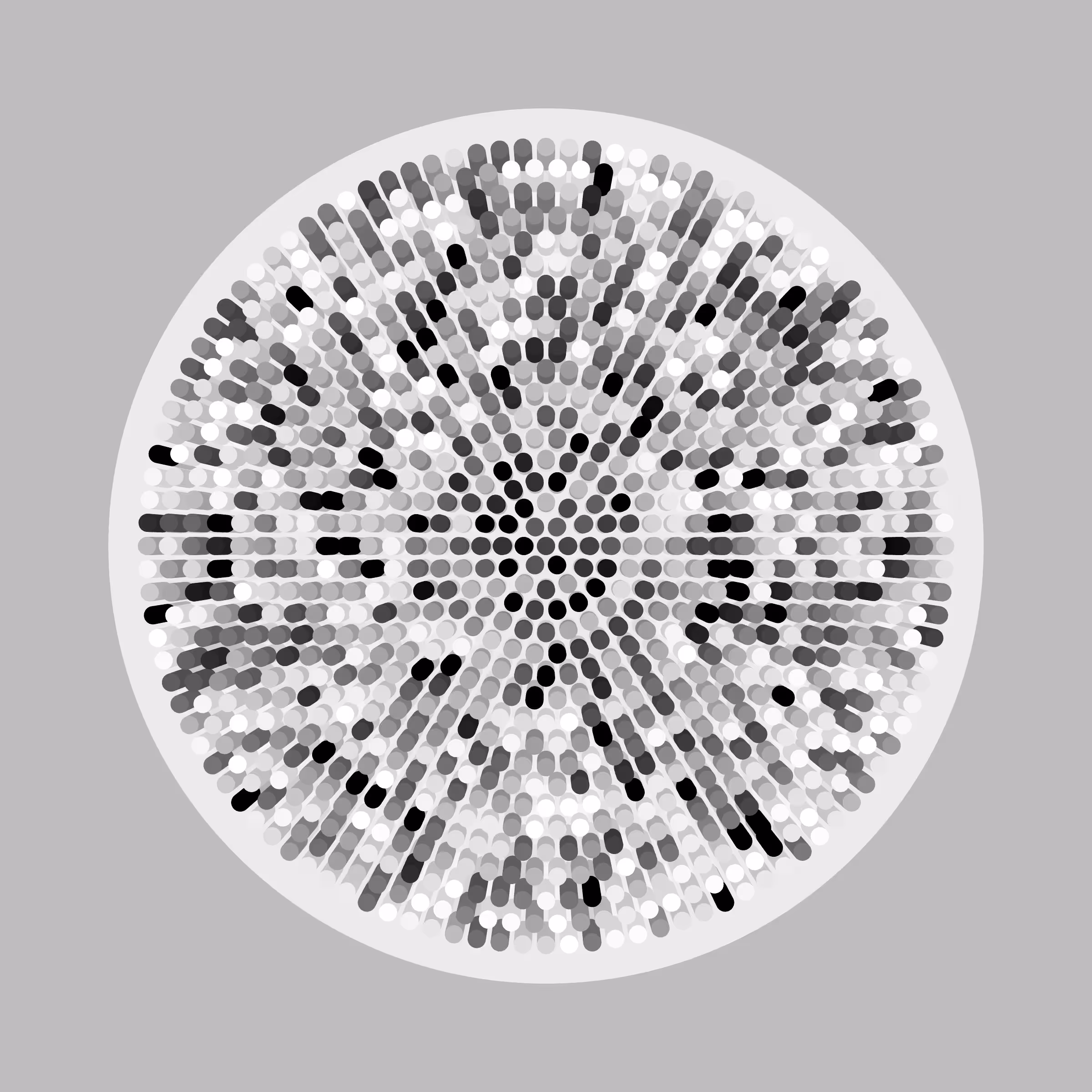 Transitions #4464