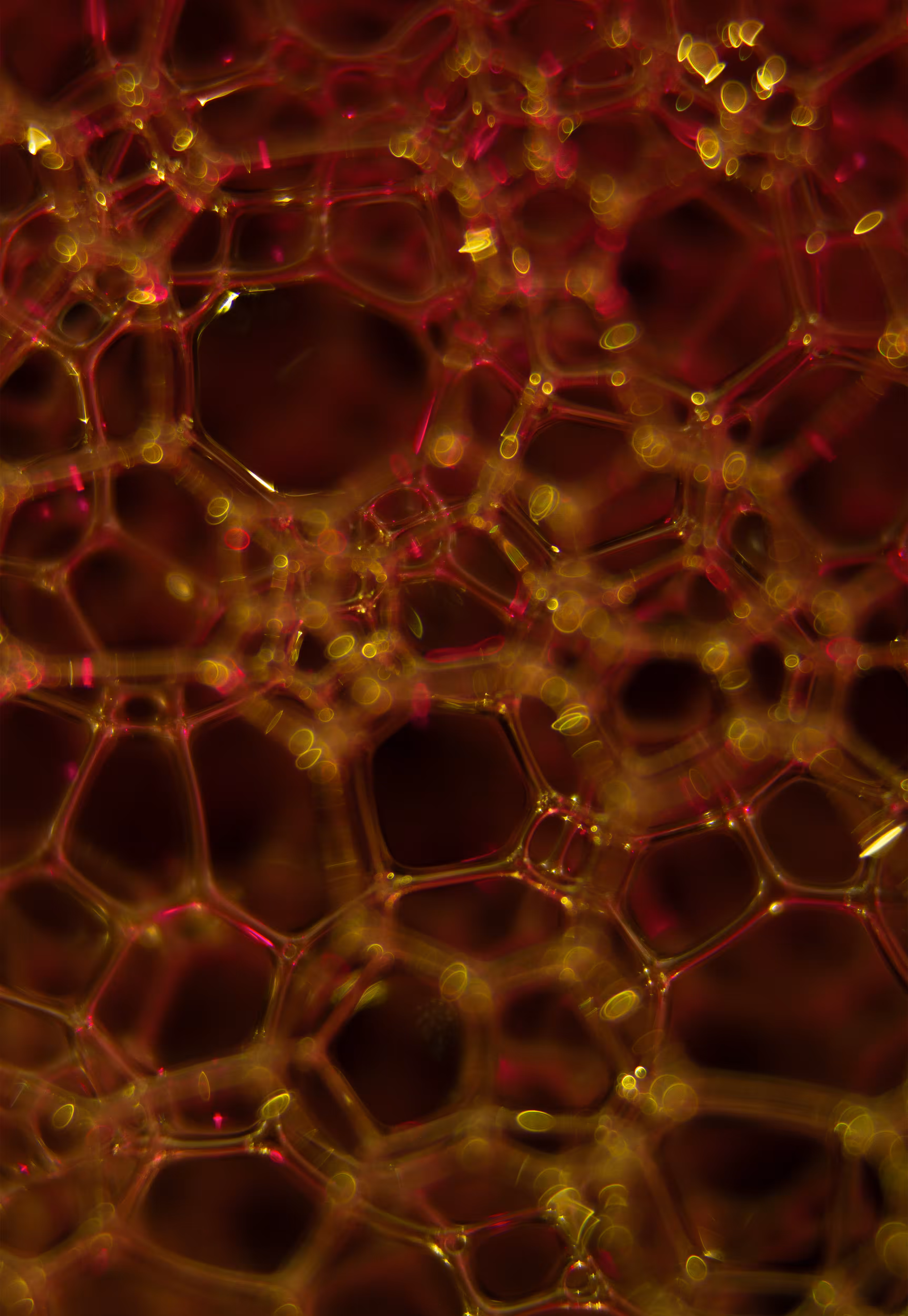 #157 Bubbles