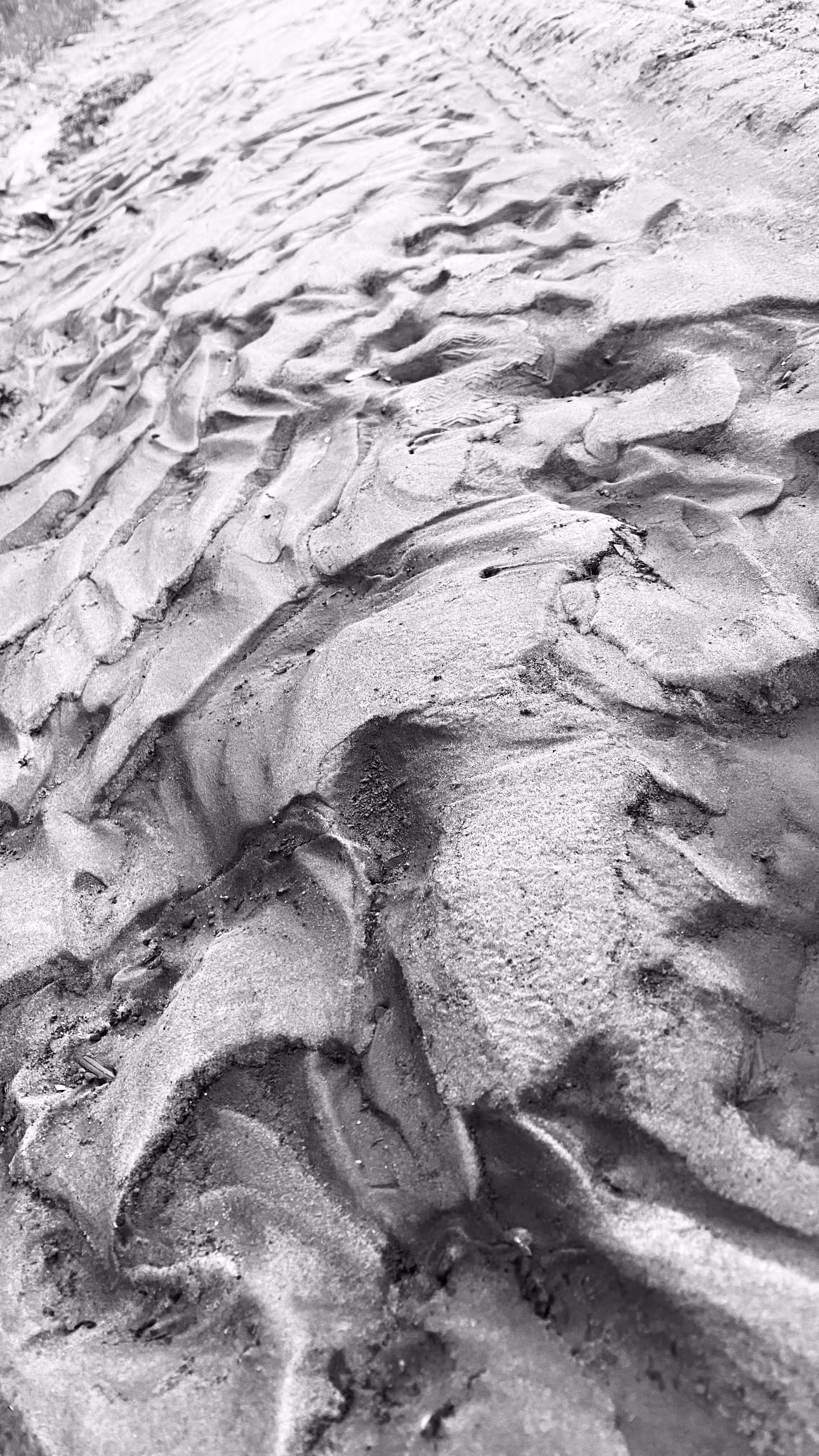 Relief