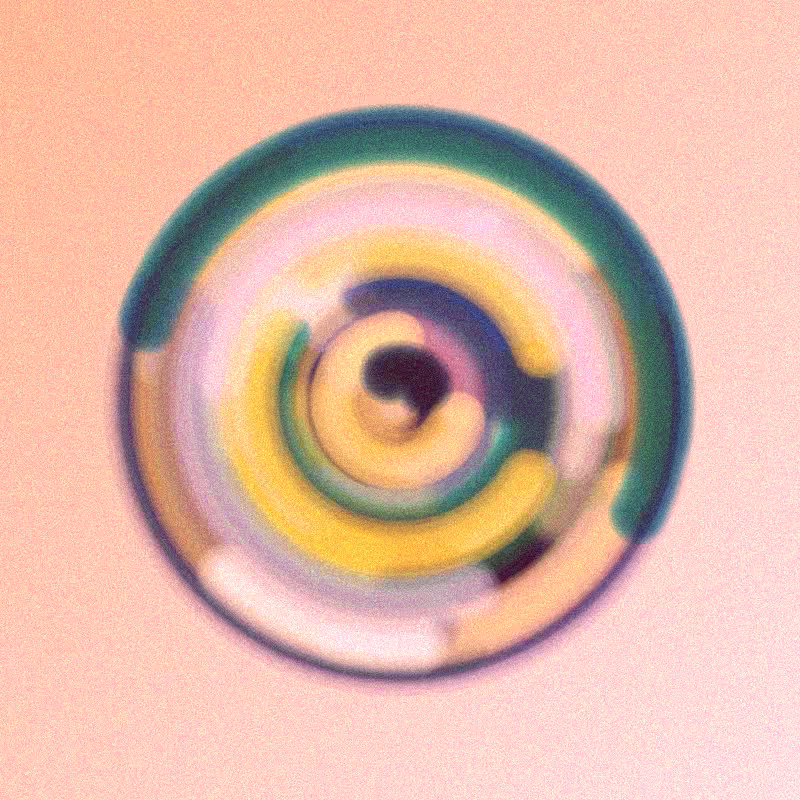 Wisp #663