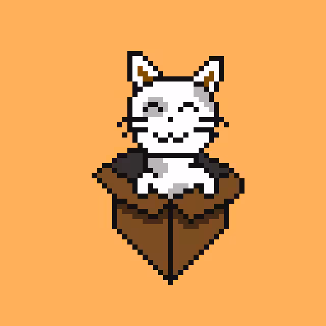 cat box 1