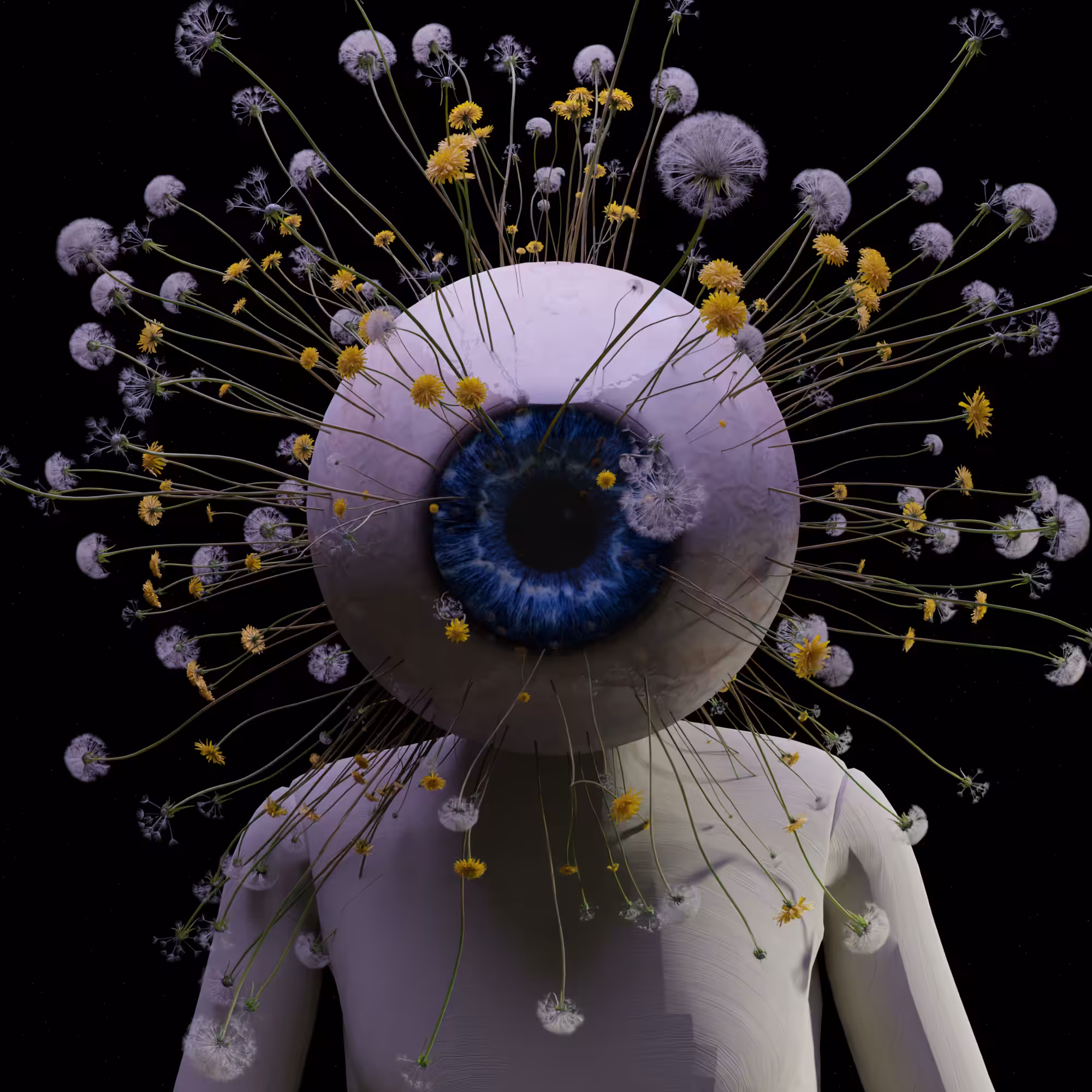 the eye of the flowers