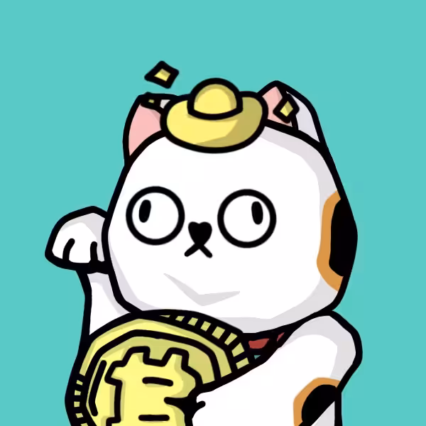 Neko 008