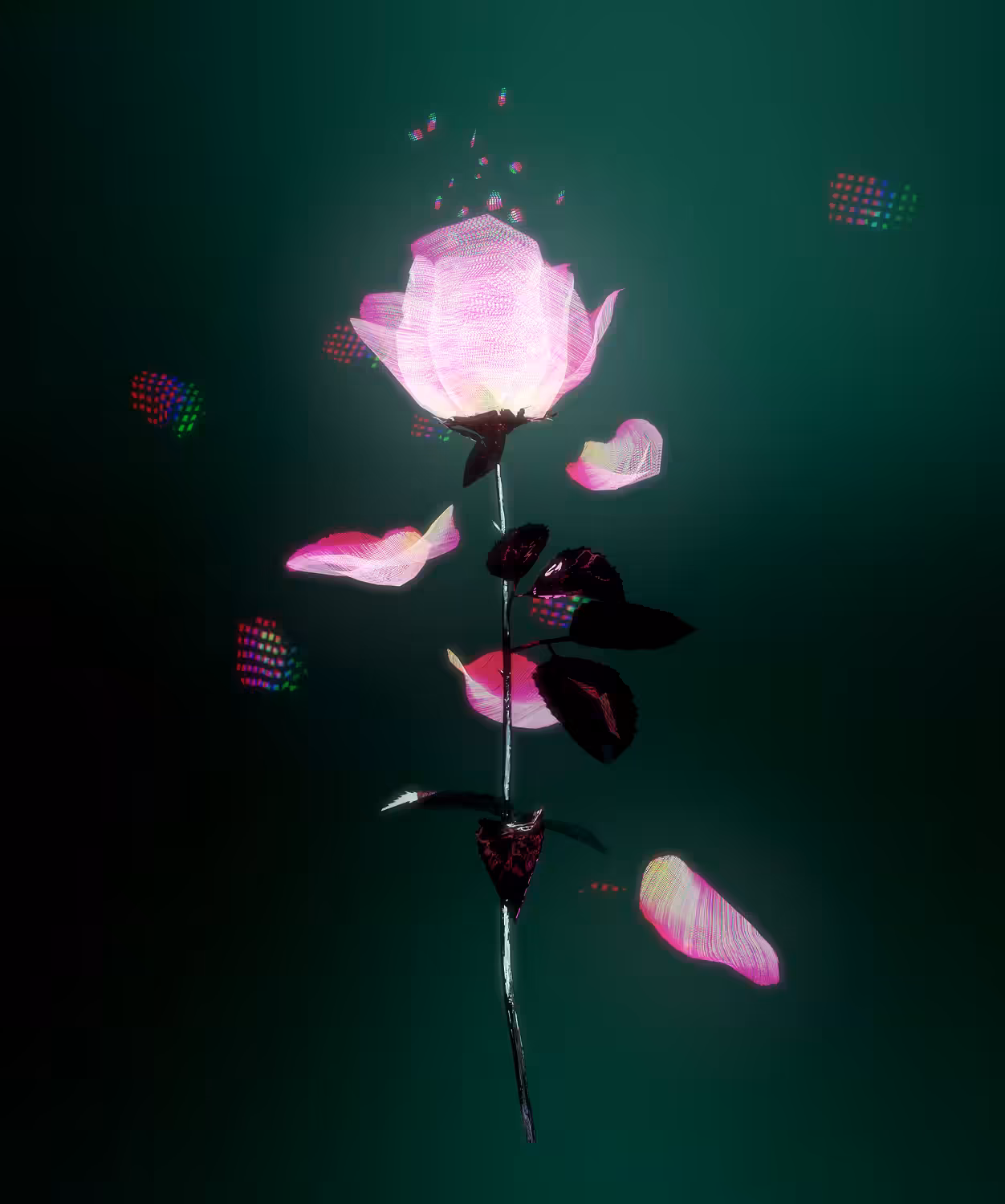Give this to someone you love
