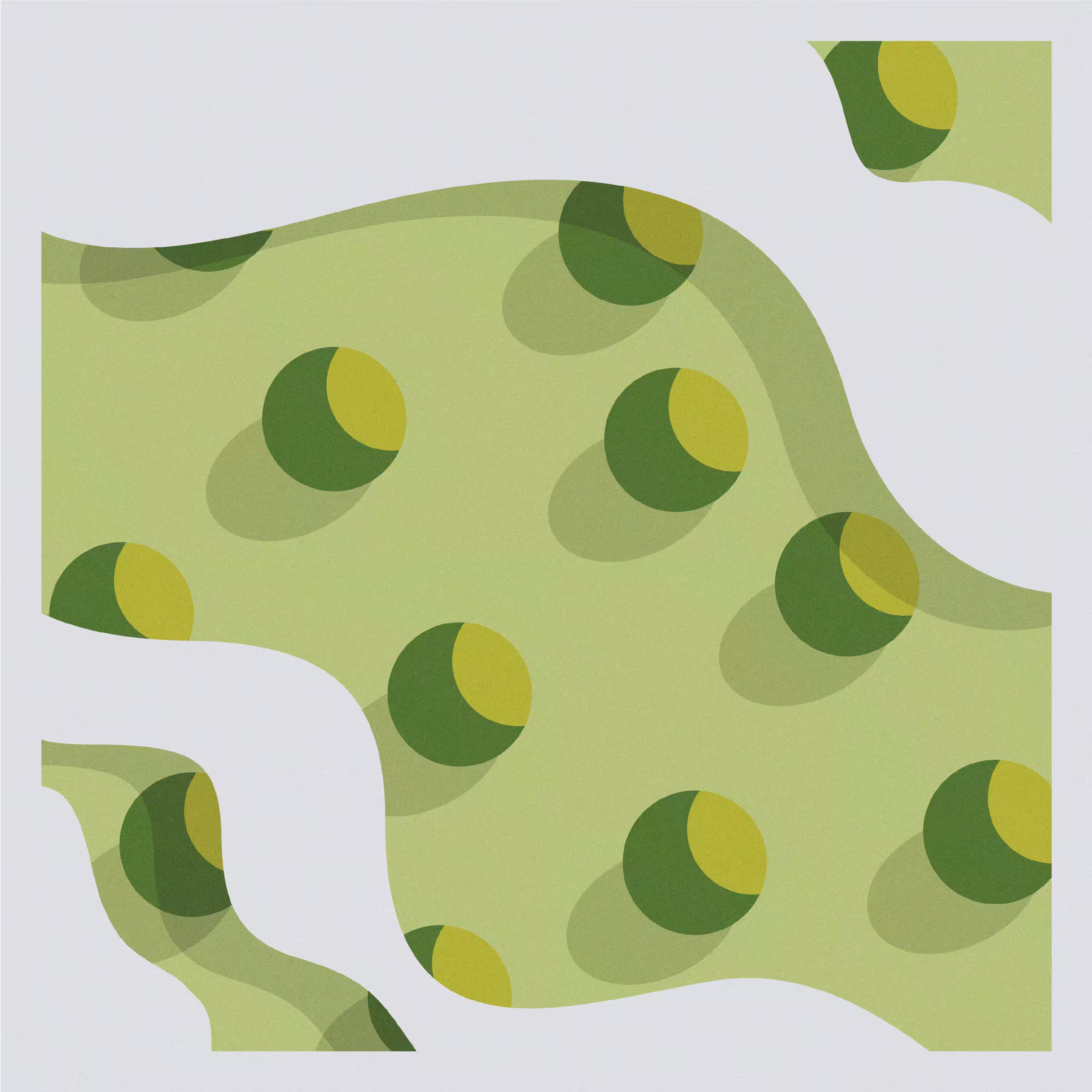 Cloud-Framed Forest