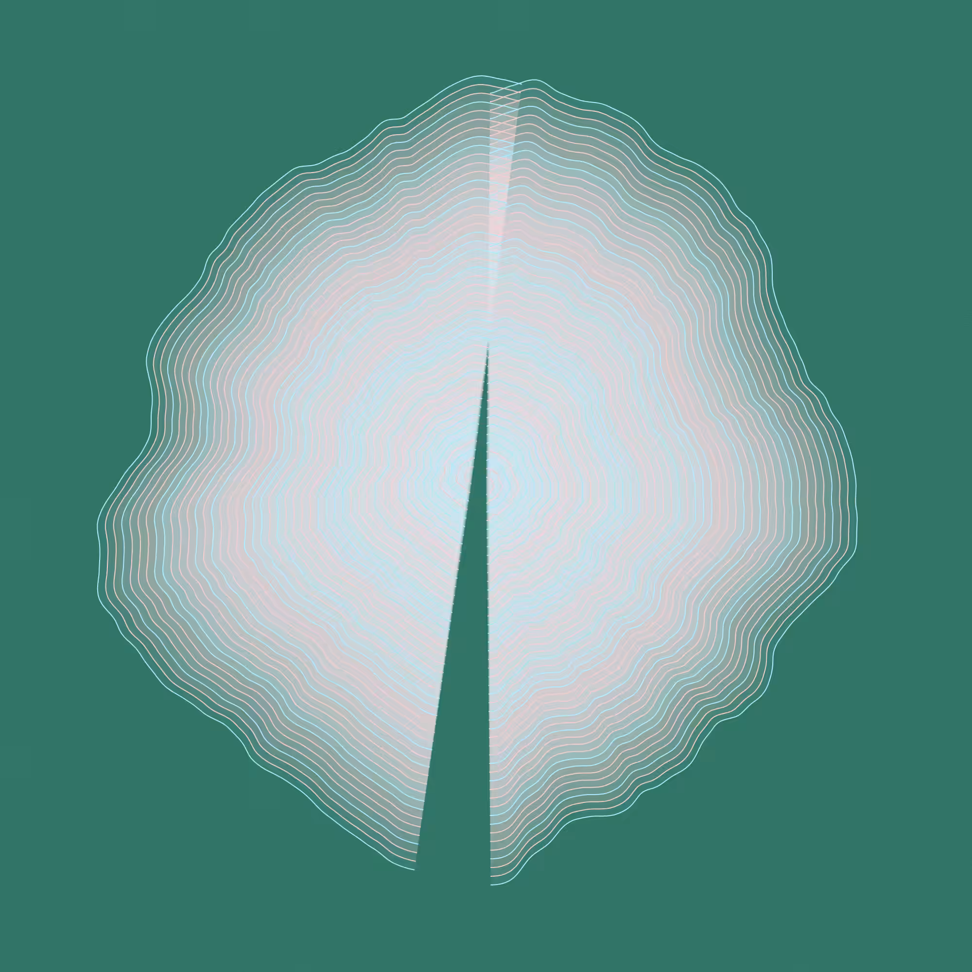 Hashed Onions #19