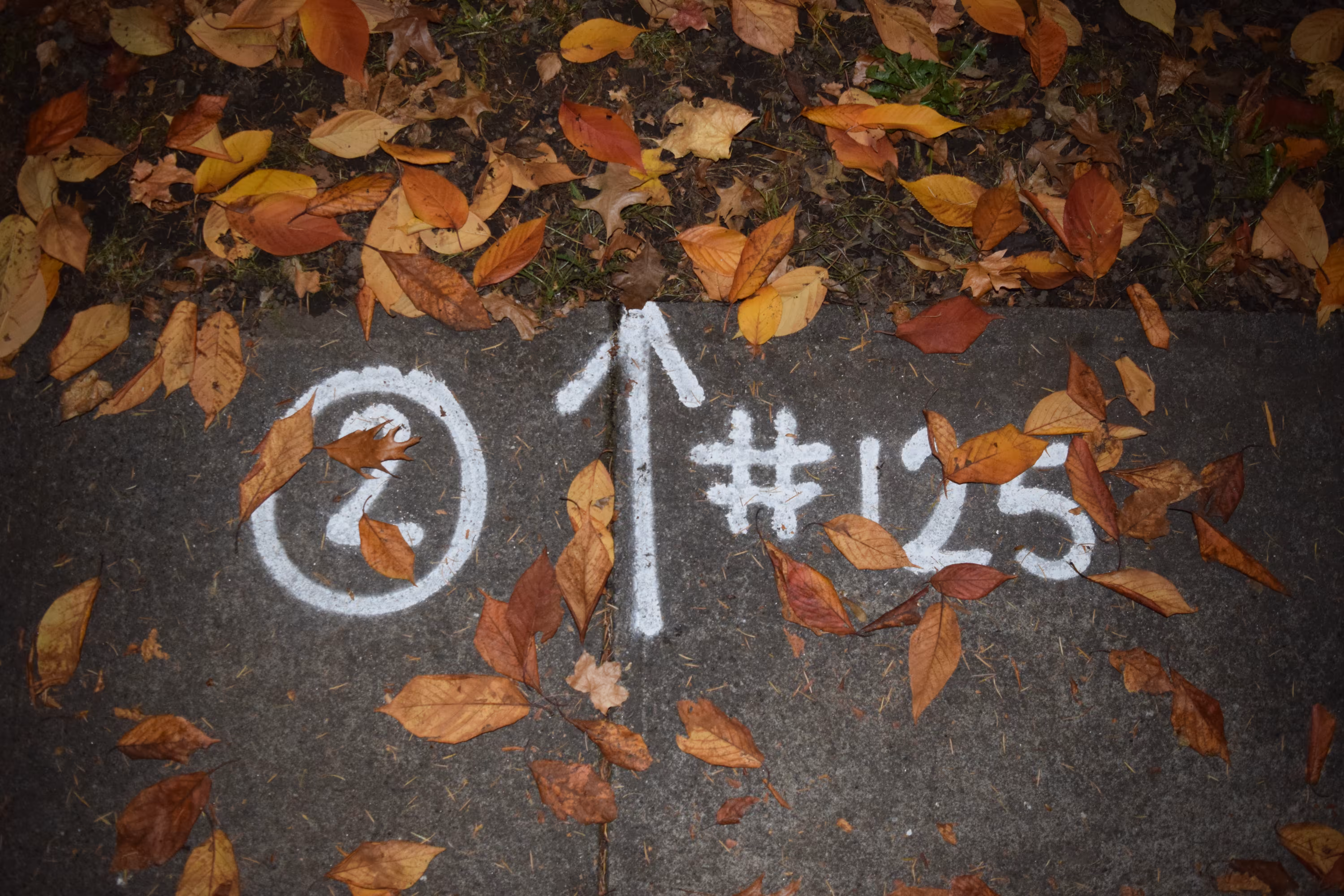➁ ↑#125