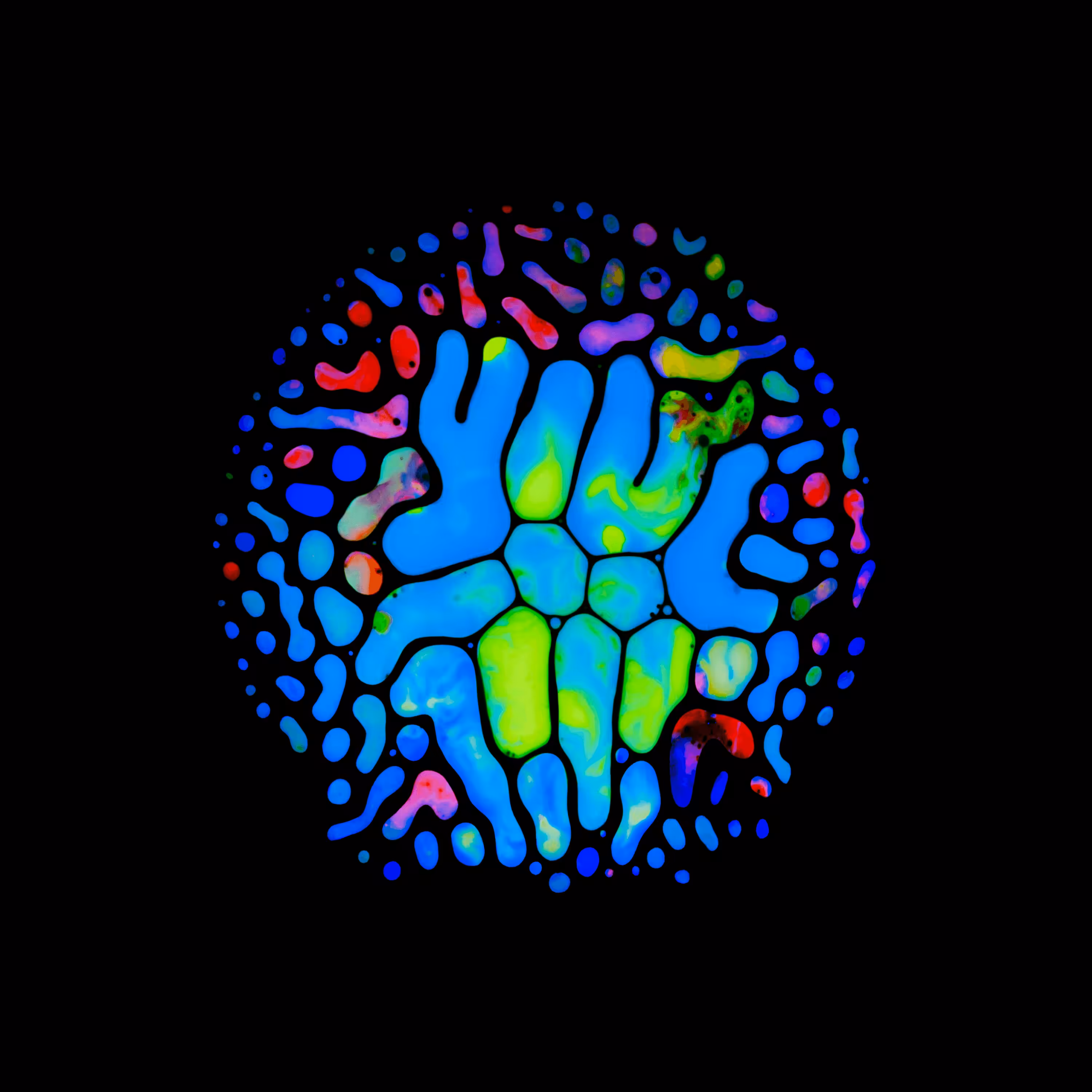 Haematopoiesis #210