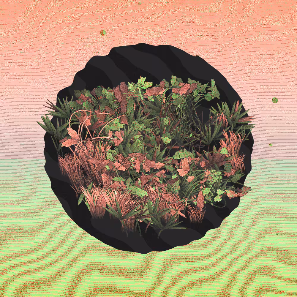 A Gift of Nature #23