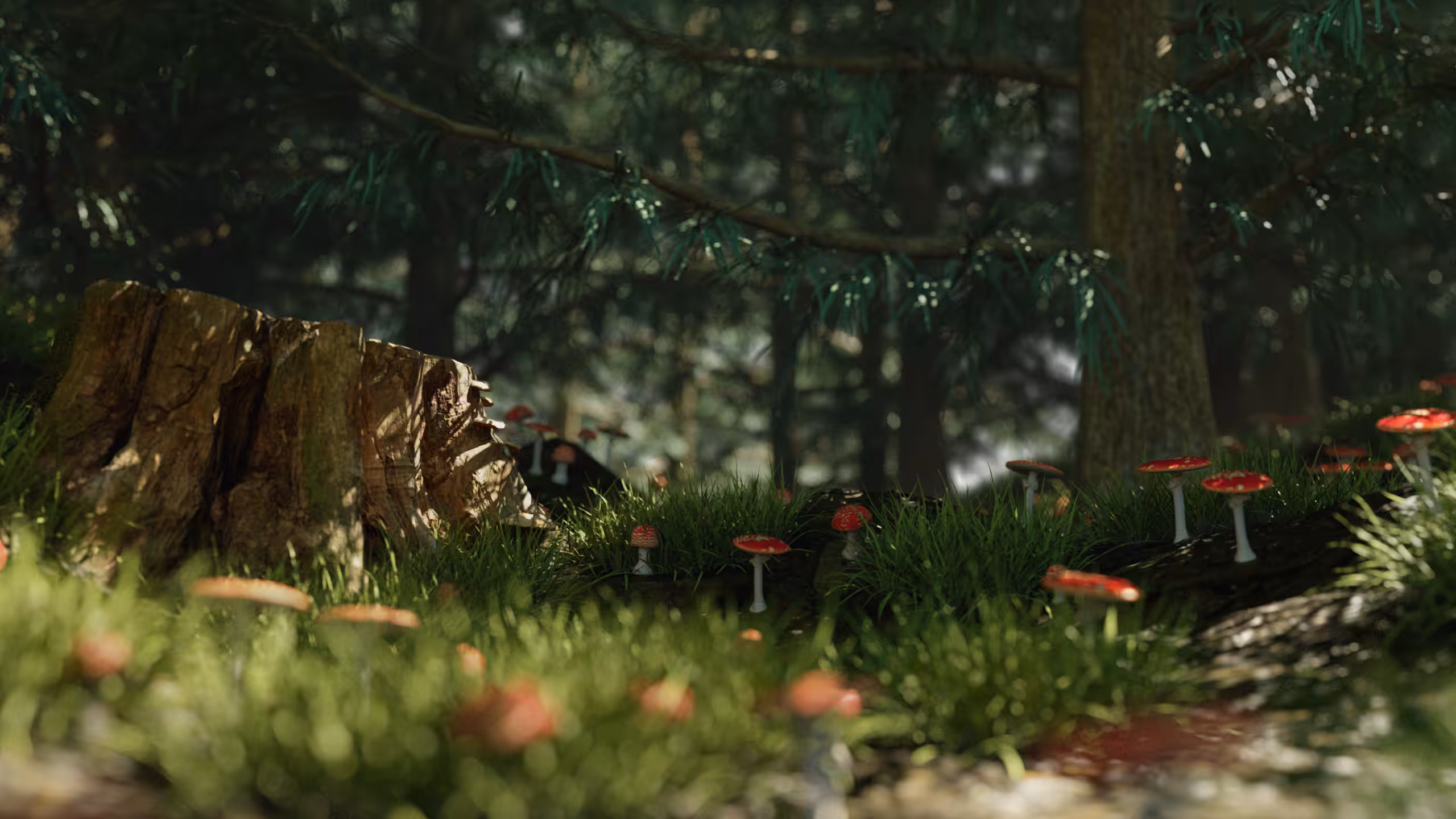 FOREST