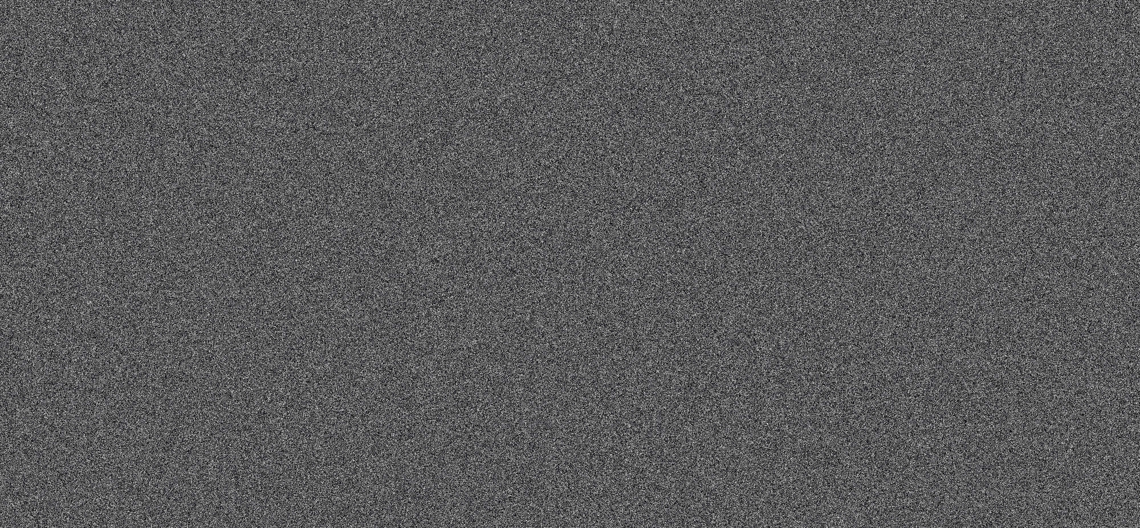 WE ARE NOISE