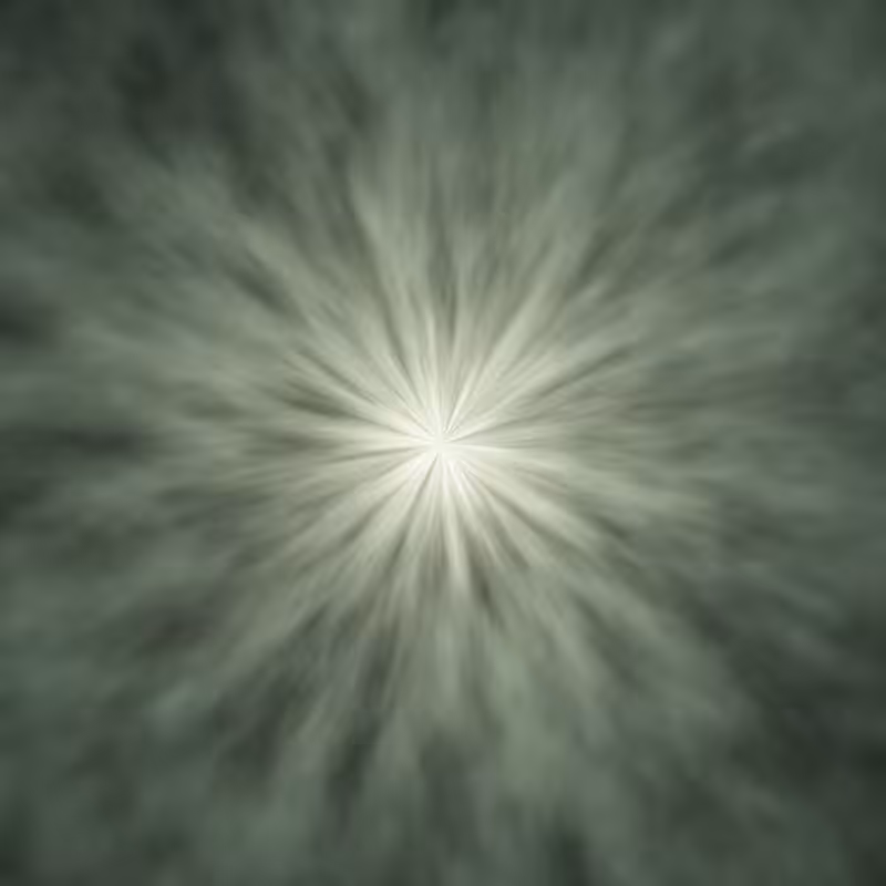 Singularity #79