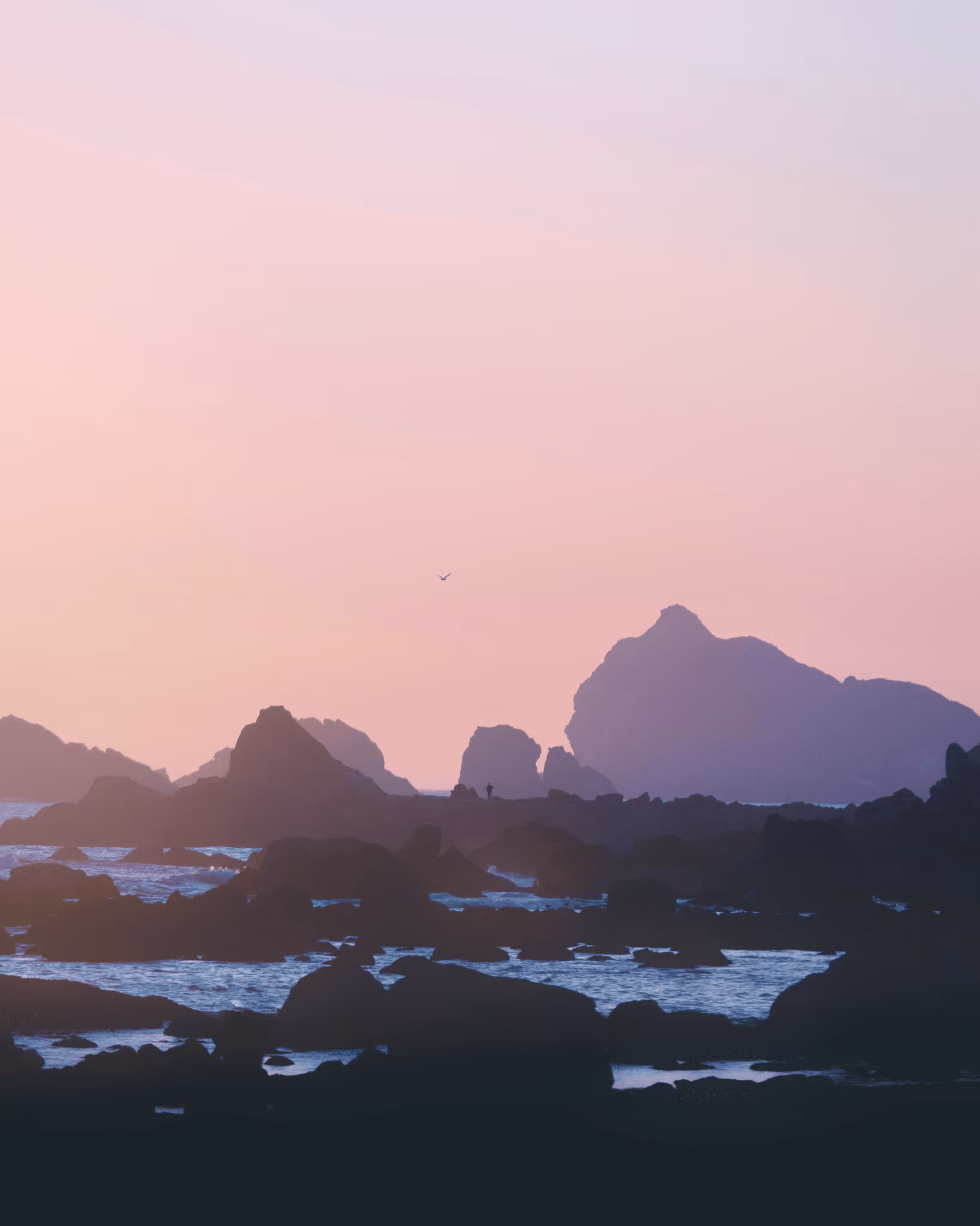 Unexpected Paradise #16