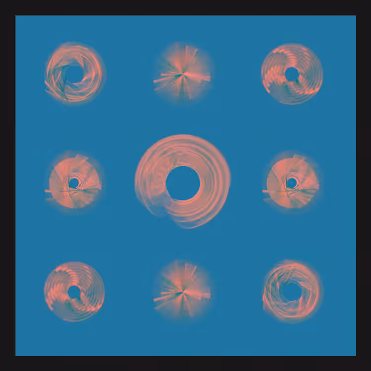Spiny Spinners #6