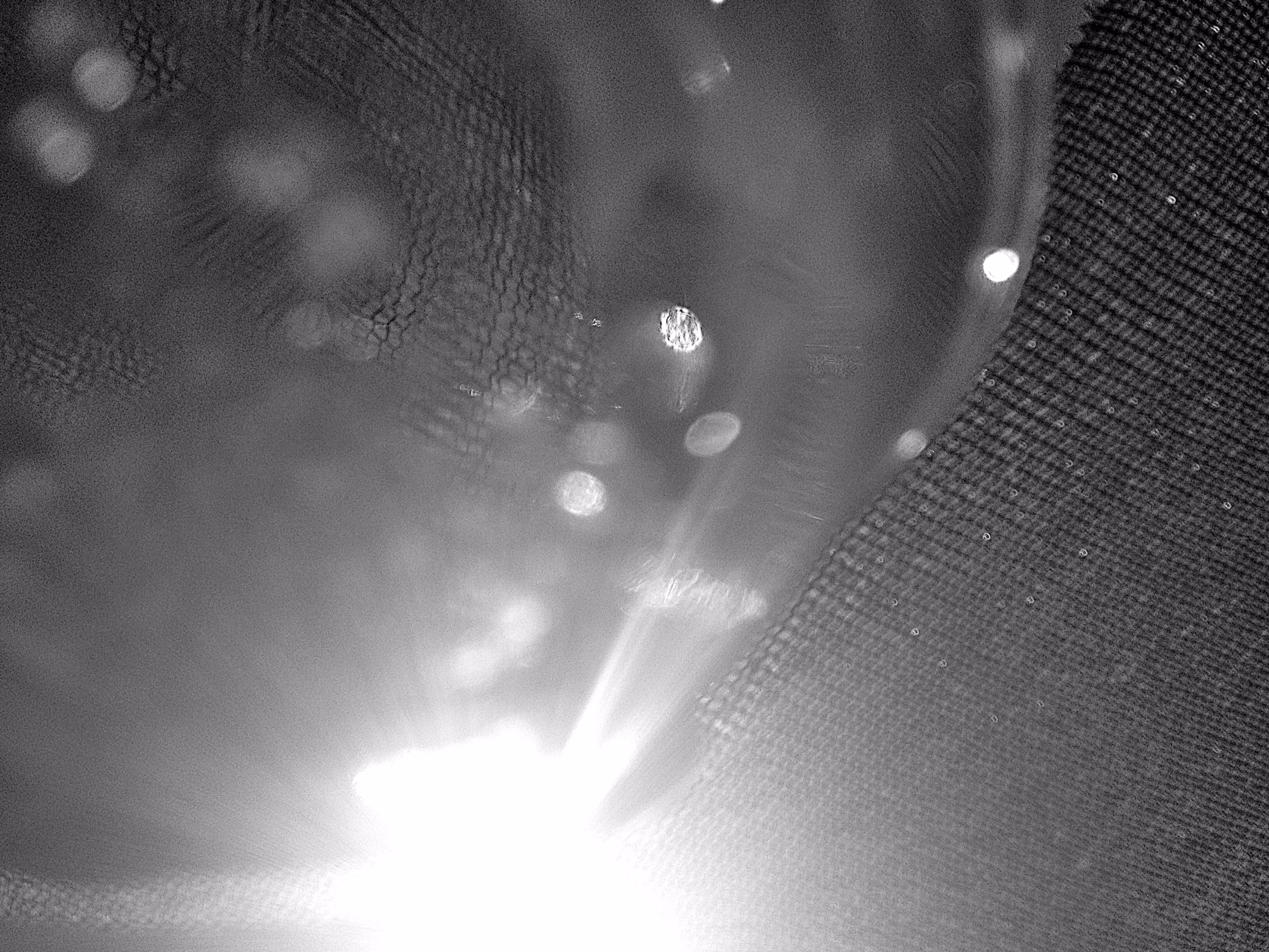 Stardust