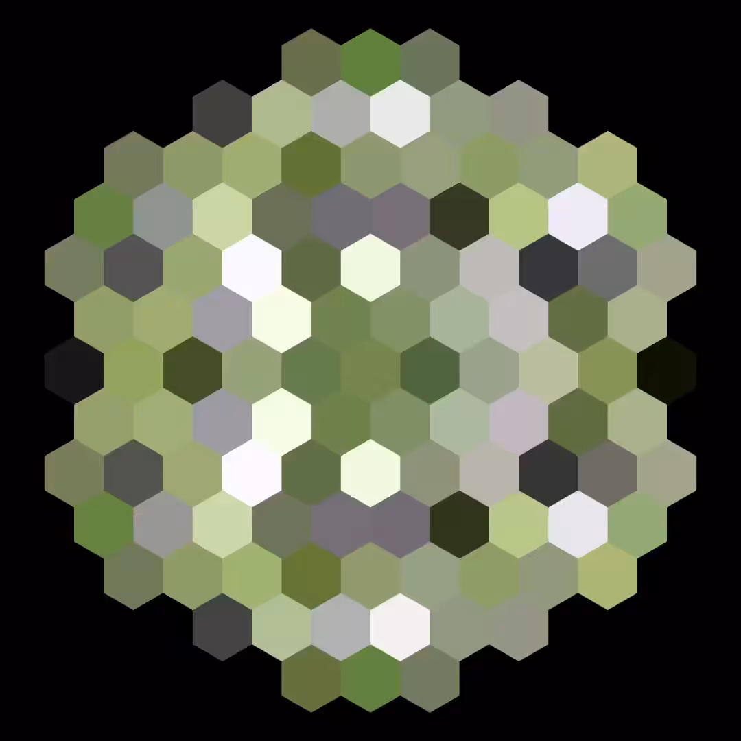 Trippy Hexa Pix 2