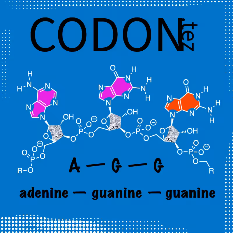 Codon Minter #3