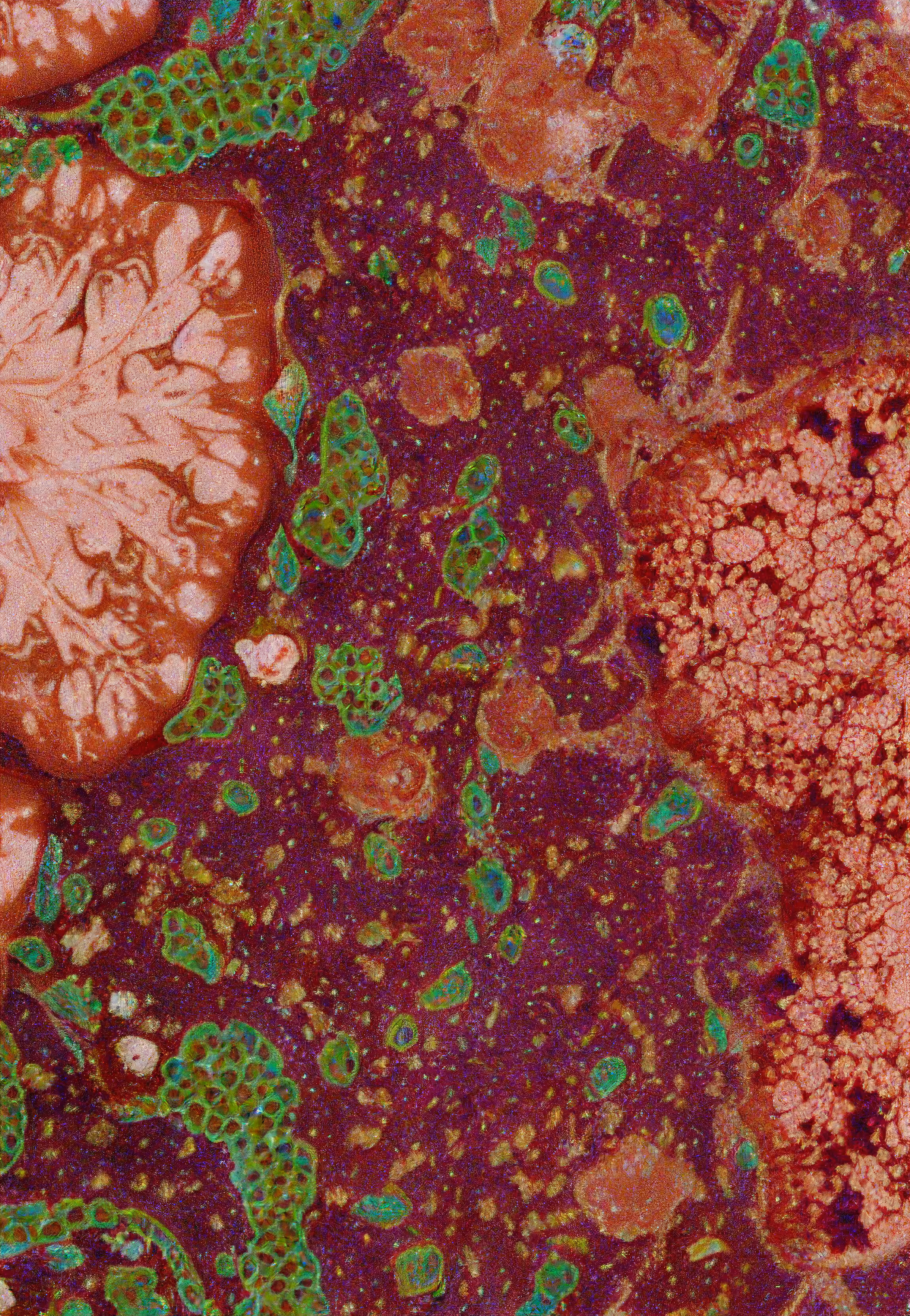 Histologia In Silico #161
