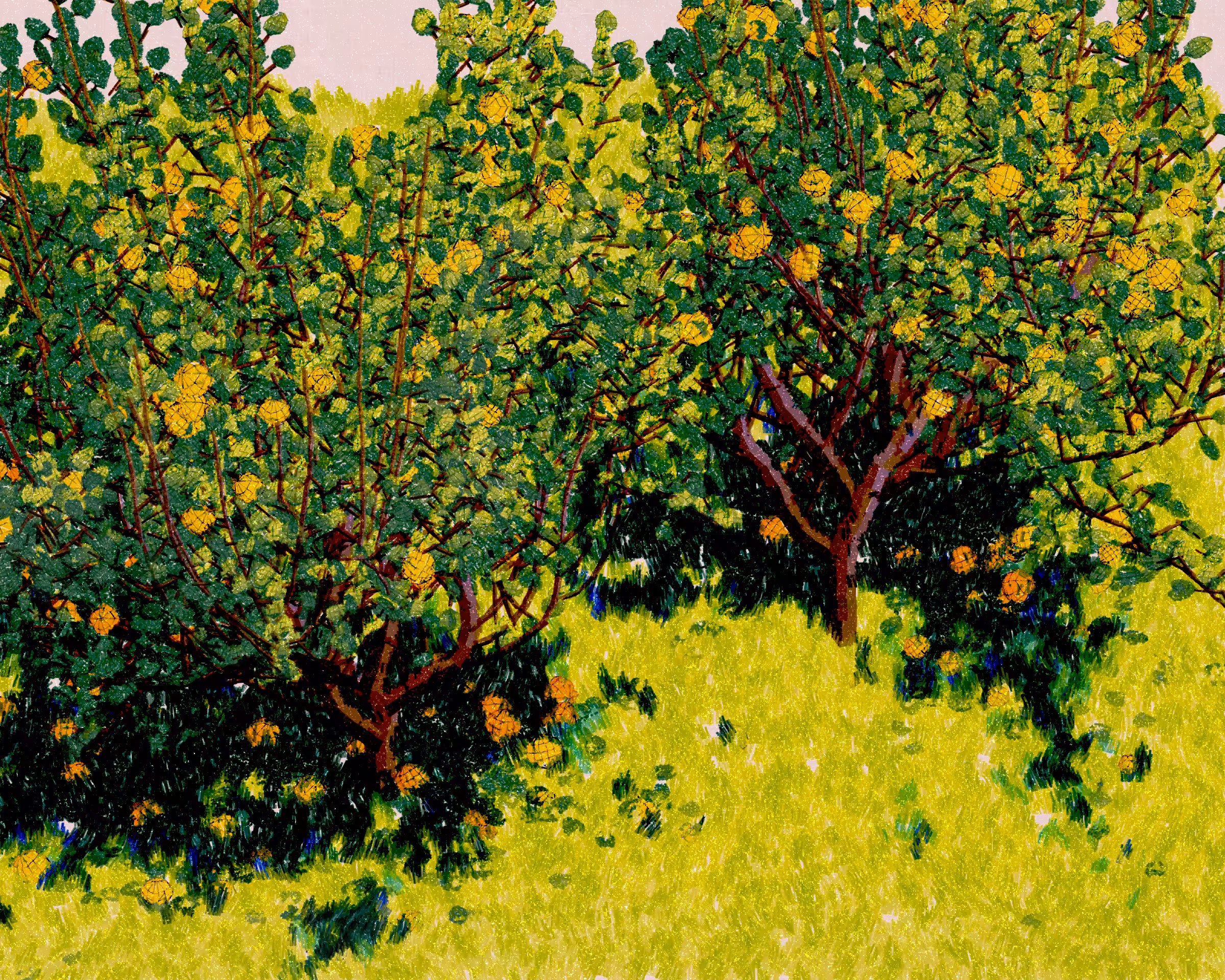 Old Grove #2