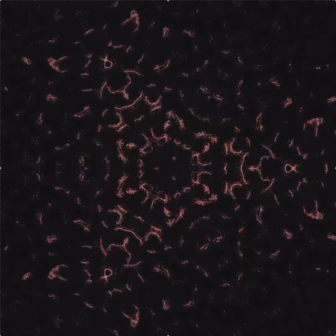 Rodeo posts: Genuary #17 - 1