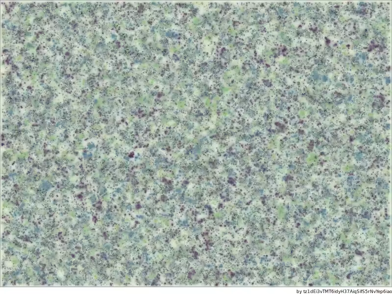 What is Love ♥ - La foule (23307)