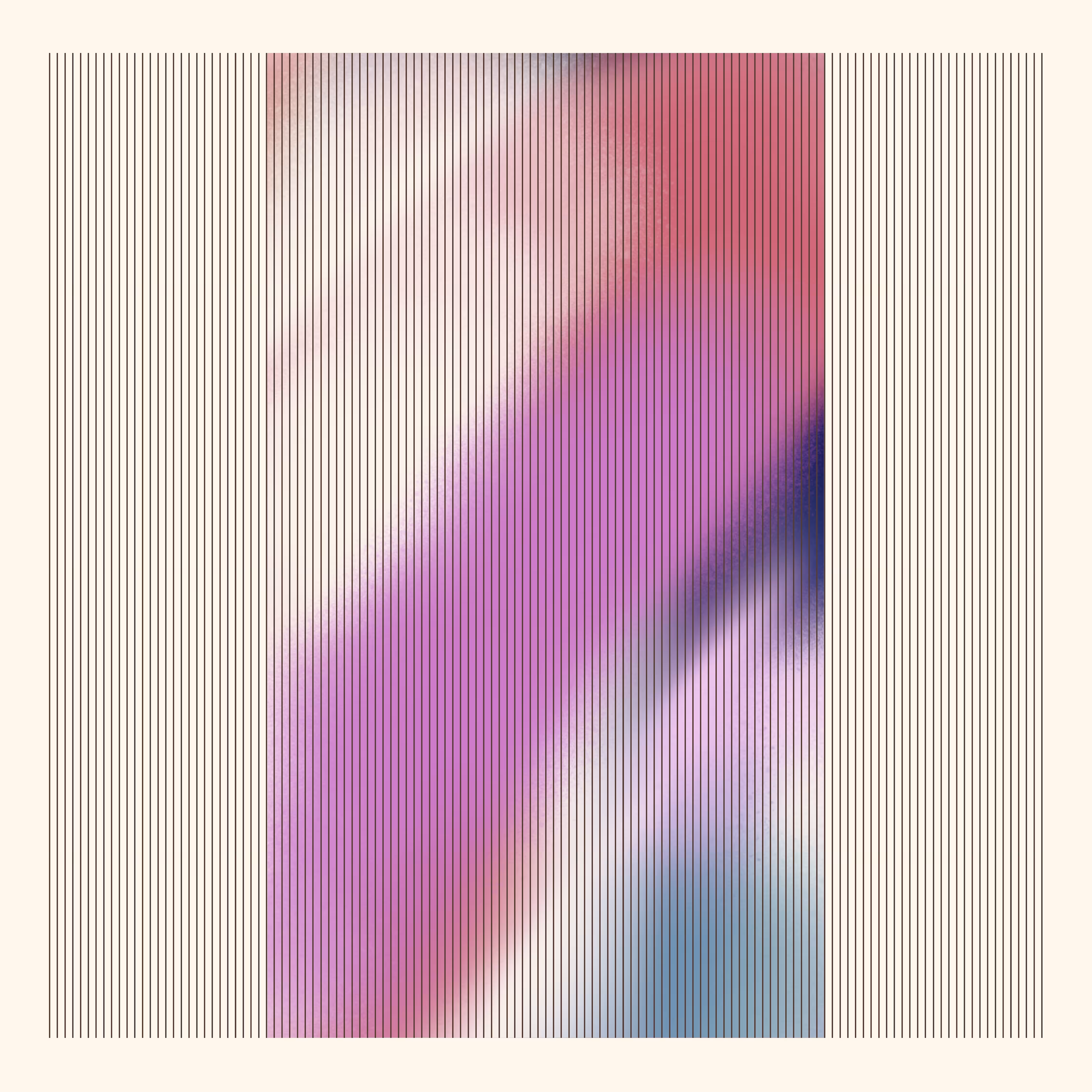 DS 016 (Manifold)