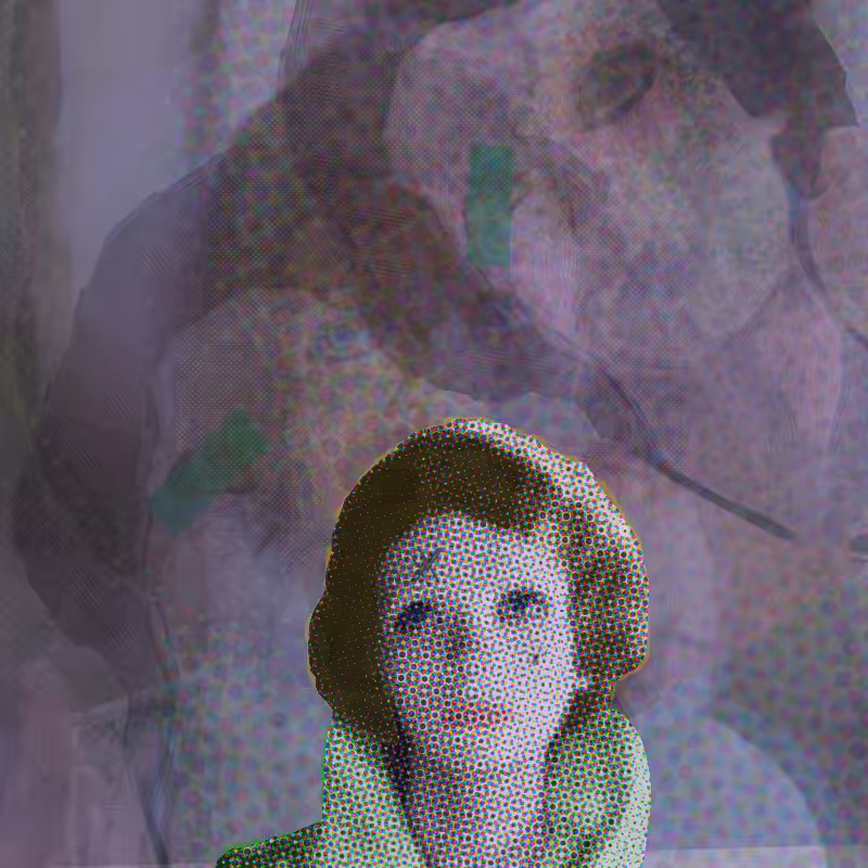les yeux sans visage #27